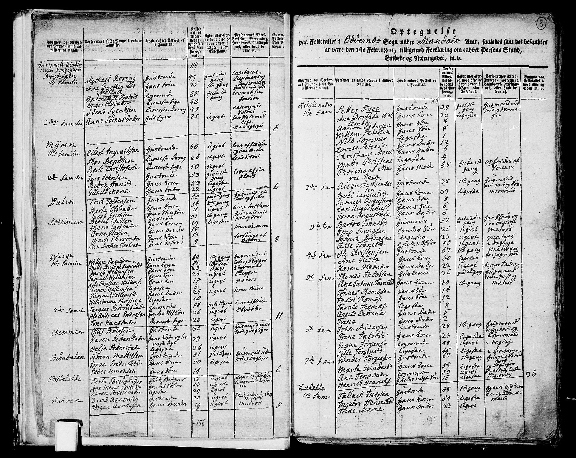 RA, 1801 census for 1012P Oddernes, 1801, p. 2b-3a