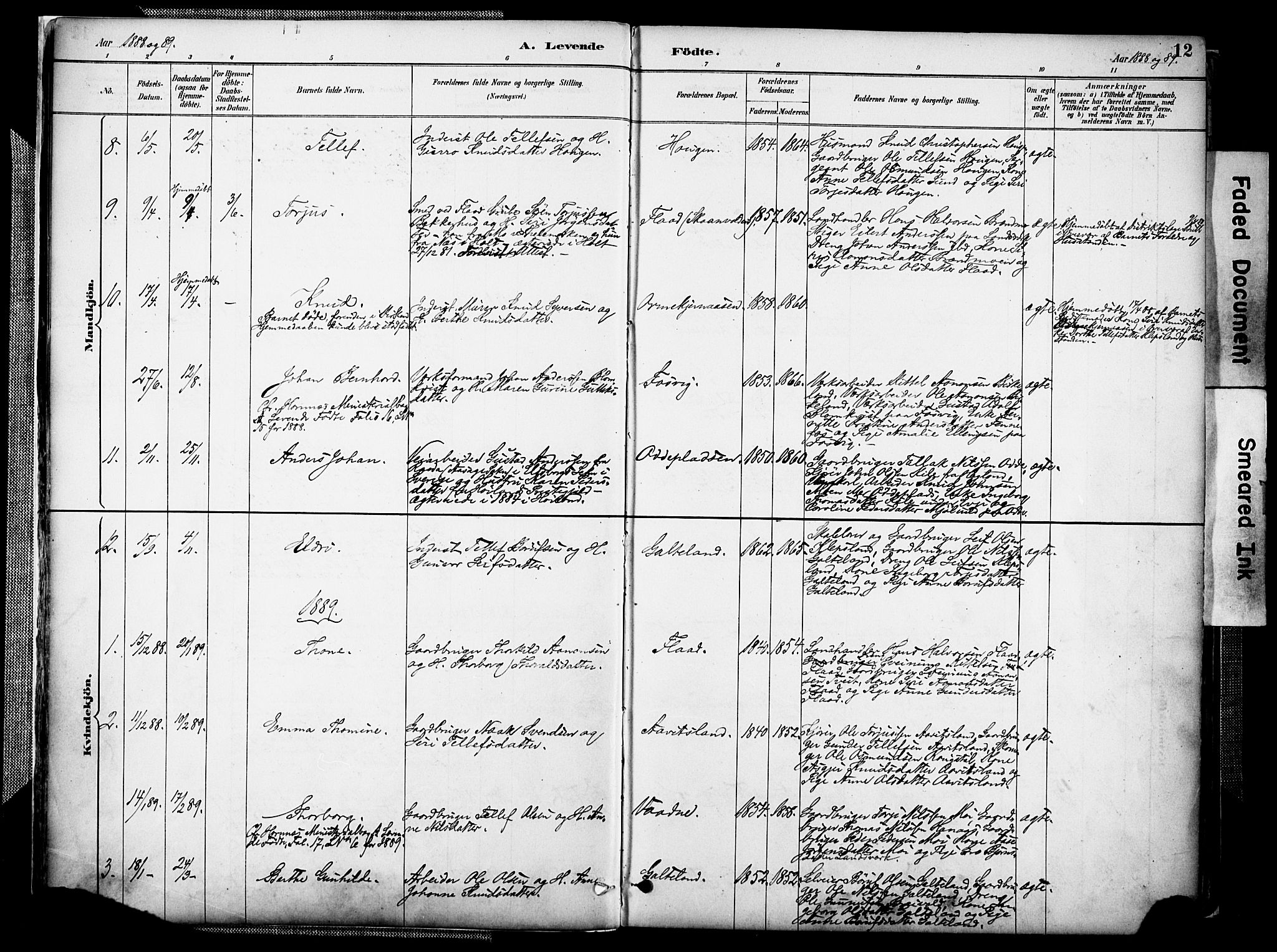 Evje sokneprestkontor, SAK/1111-0008/F/Fa/Faa/L0007: Parish register (official) no. A 7, 1884-1909, p. 12