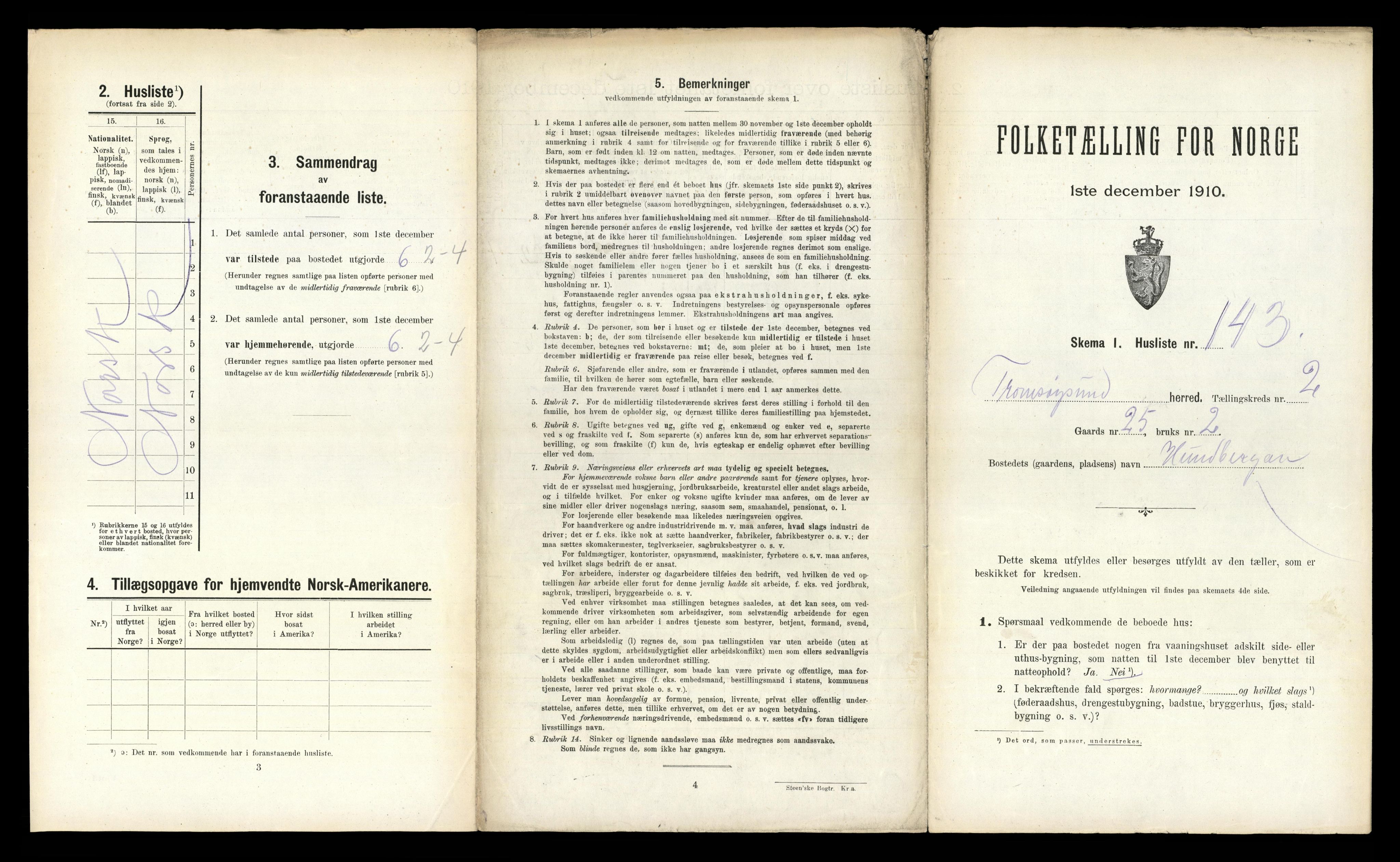 RA, 1910 census for Tromsøysund, 1910, p. 667