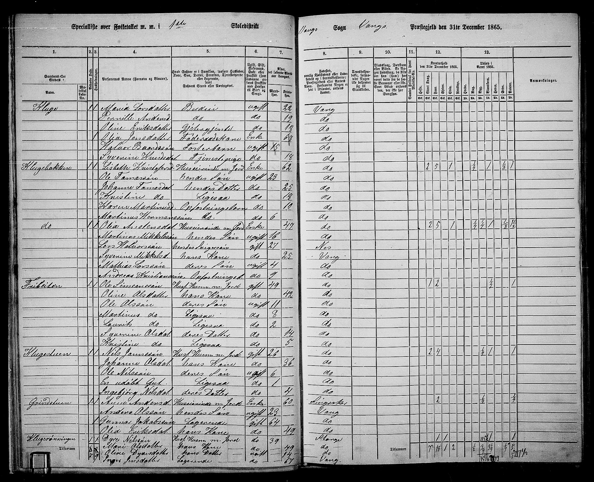 RA, 1865 census for Vang/Vang og Furnes, 1865, p. 172