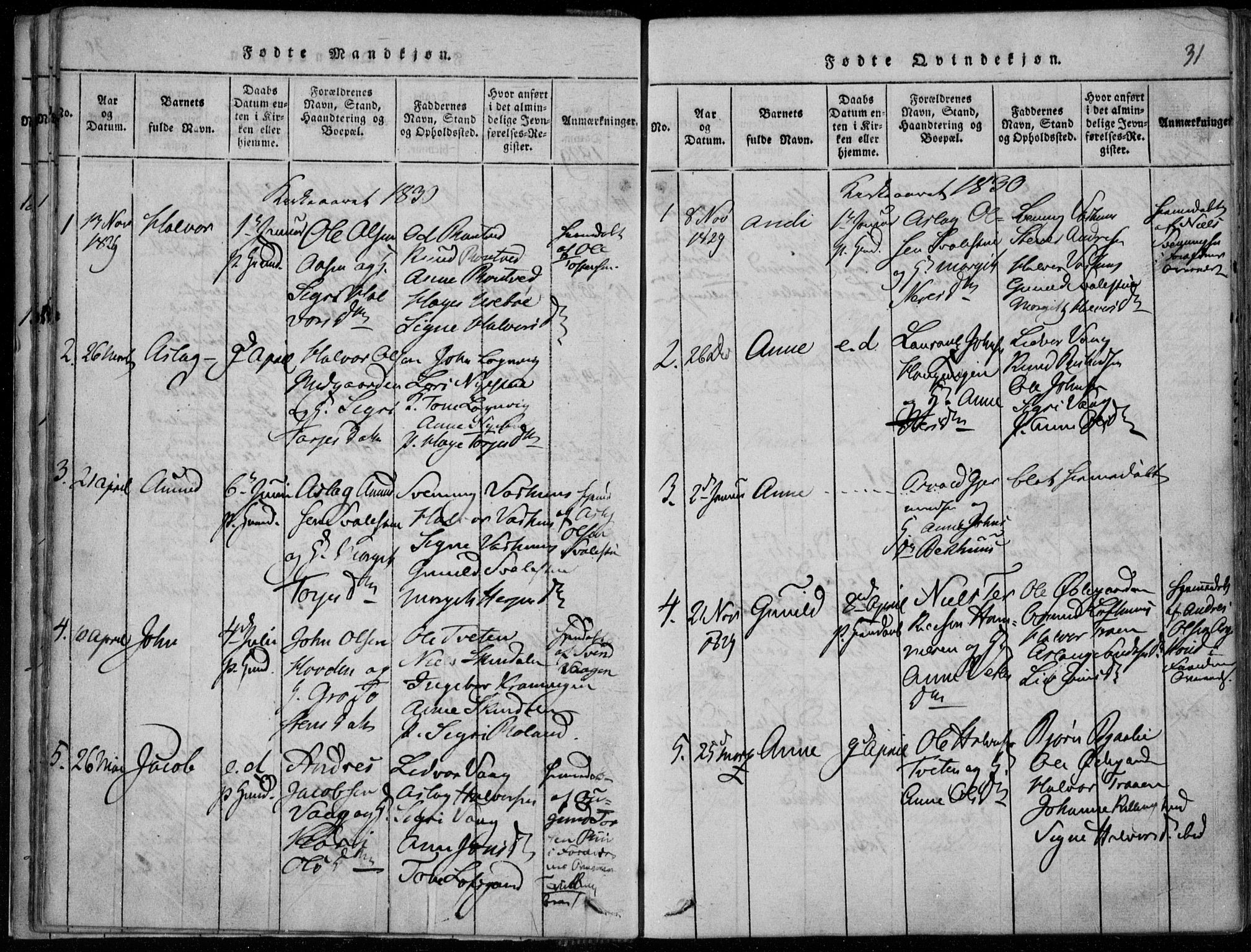 Rauland kirkebøker, AV/SAKO-A-292/F/Fa/L0001: Parish register (official) no. I 1, 1814-1859, p. 31