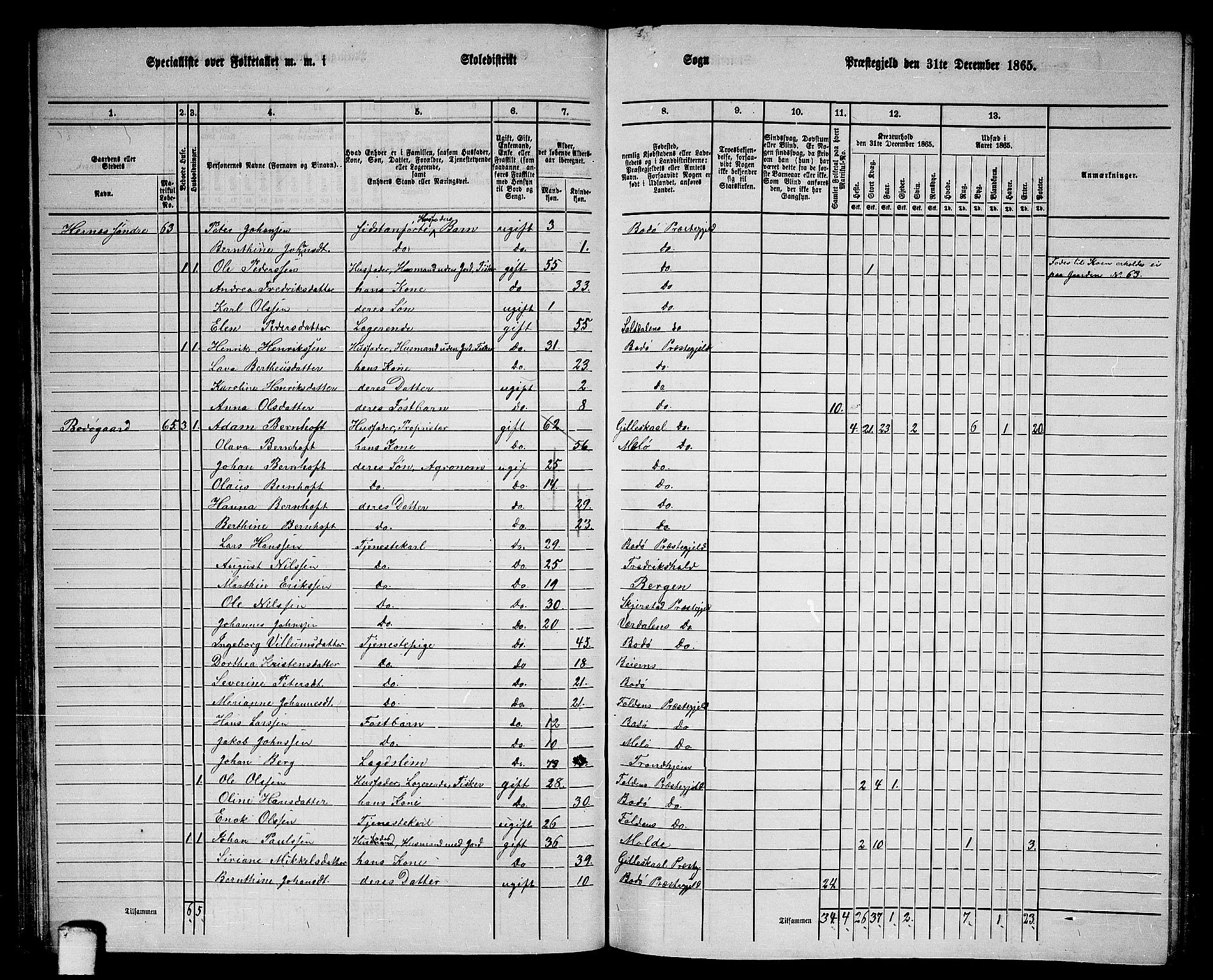 RA, 1865 census for Bodø/Bodø, 1865, p. 40