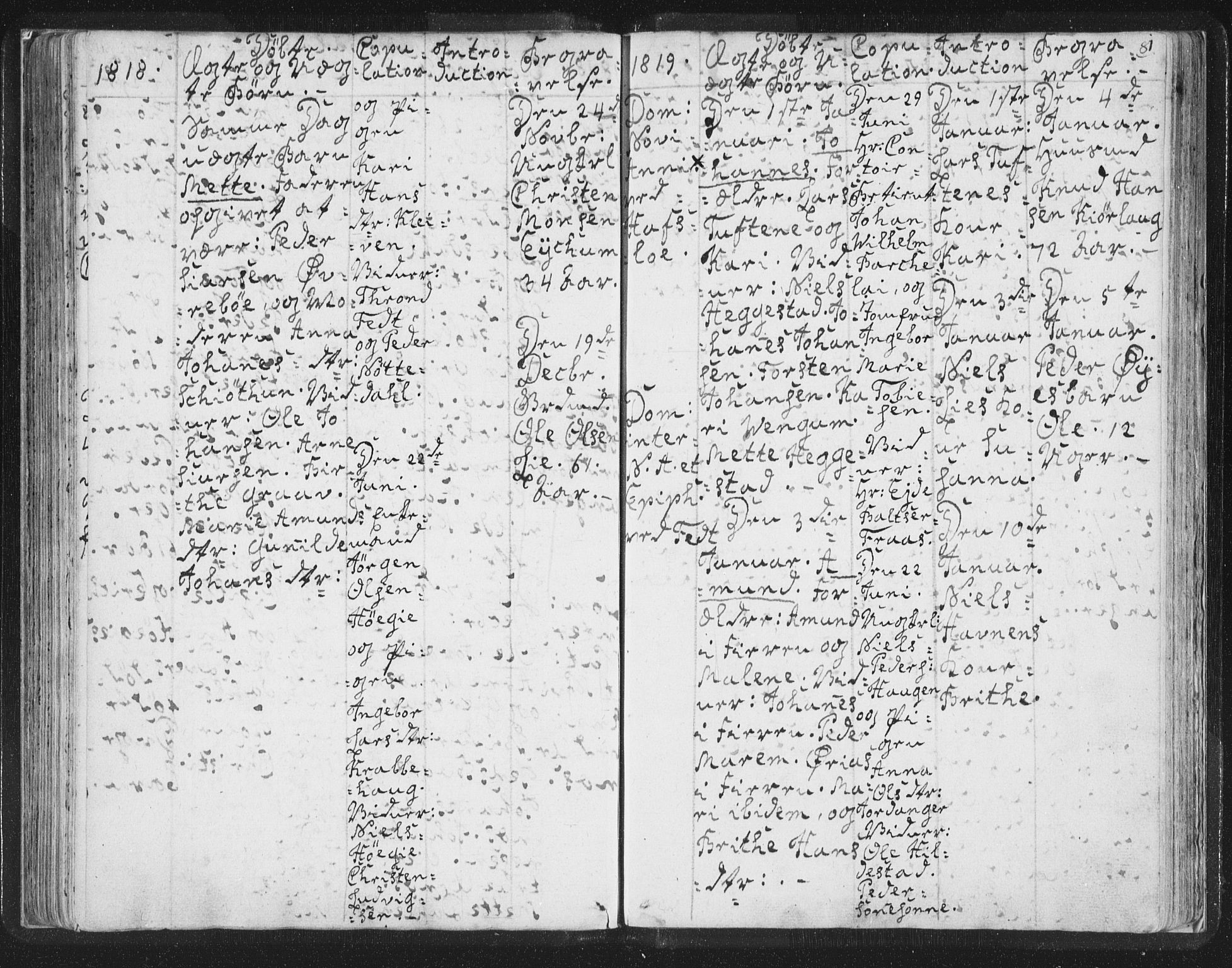 Hafslo sokneprestembete, SAB/A-80301/H/Haa/Haaa/L0003: Parish register (official) no. A 3, 1807-1821, p. 81