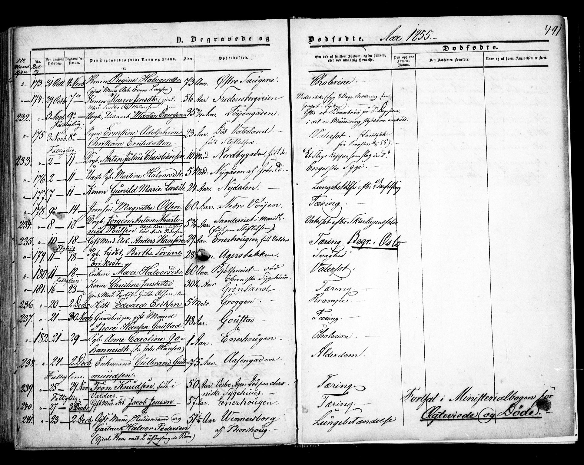 Aker prestekontor kirkebøker, AV/SAO-A-10861/F/L0020: Parish register (official) no. 20, 1853-1857, p. 491