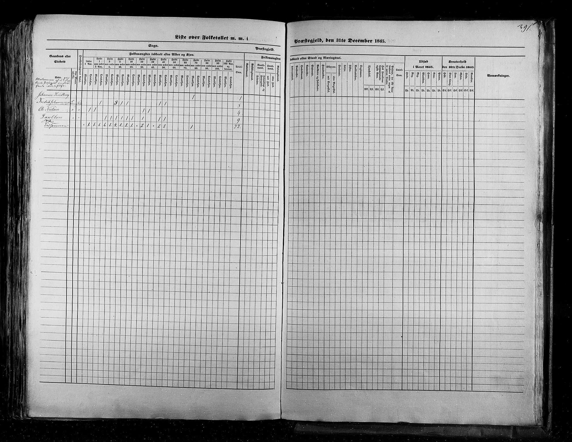 RA, Census 1845, vol. 5: Bratsberg amt og Nedenes og Råbyggelaget amt, 1845, p. 391