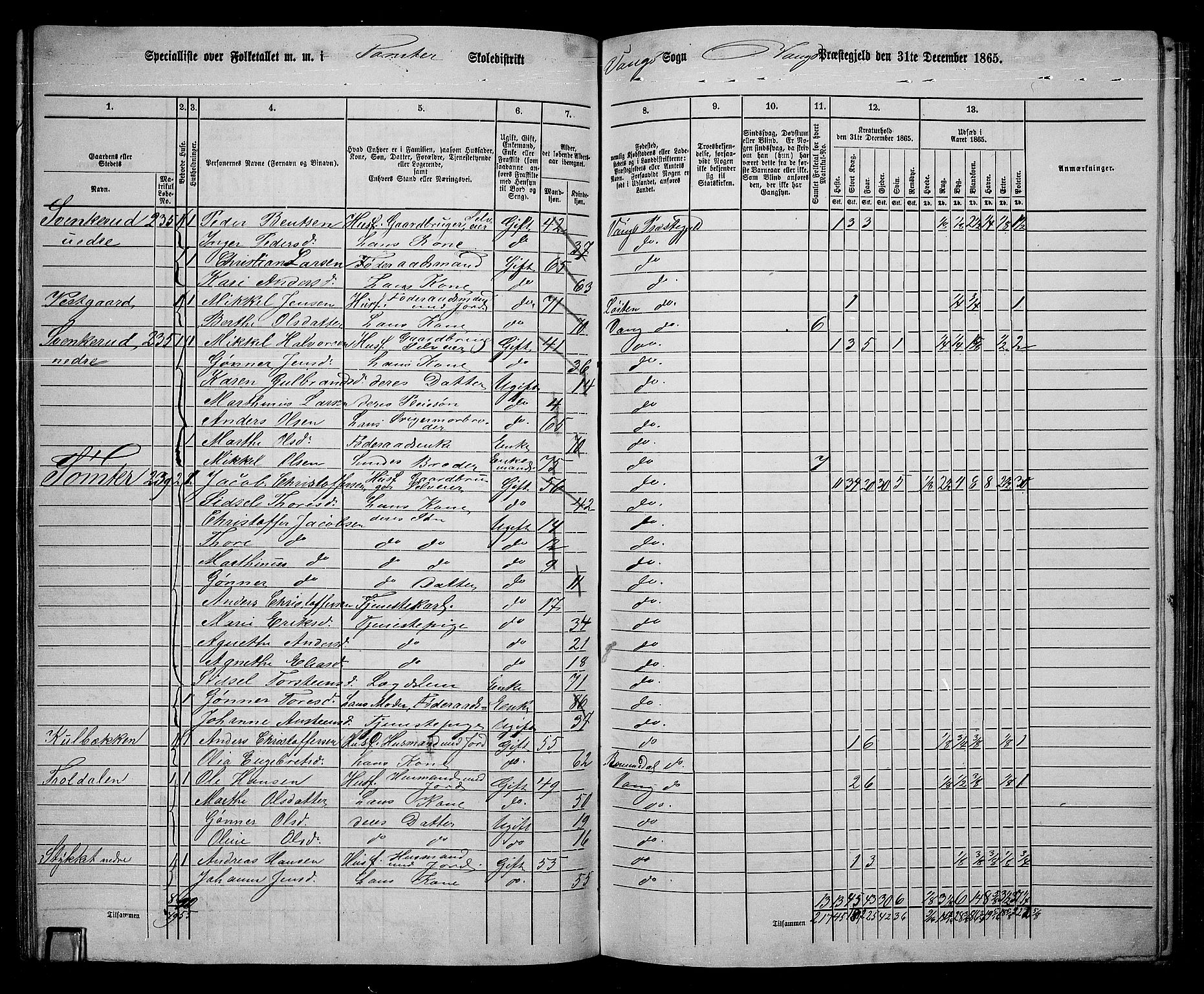 RA, 1865 census for Vang/Vang og Furnes, 1865, p. 234