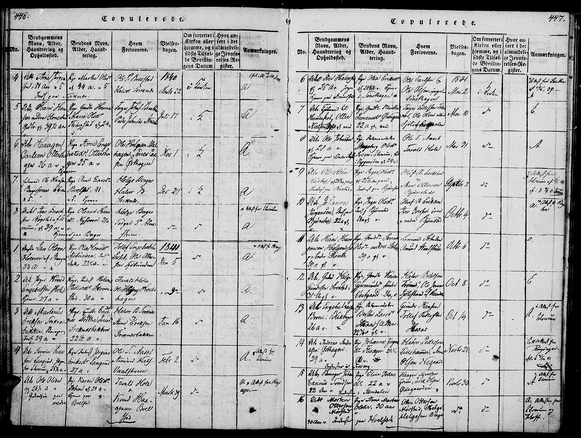 Åmot prestekontor, Hedmark, SAH/PREST-056/H/Ha/Haa/L0005: Parish register (official) no. 5, 1815-1841, p. 446-447