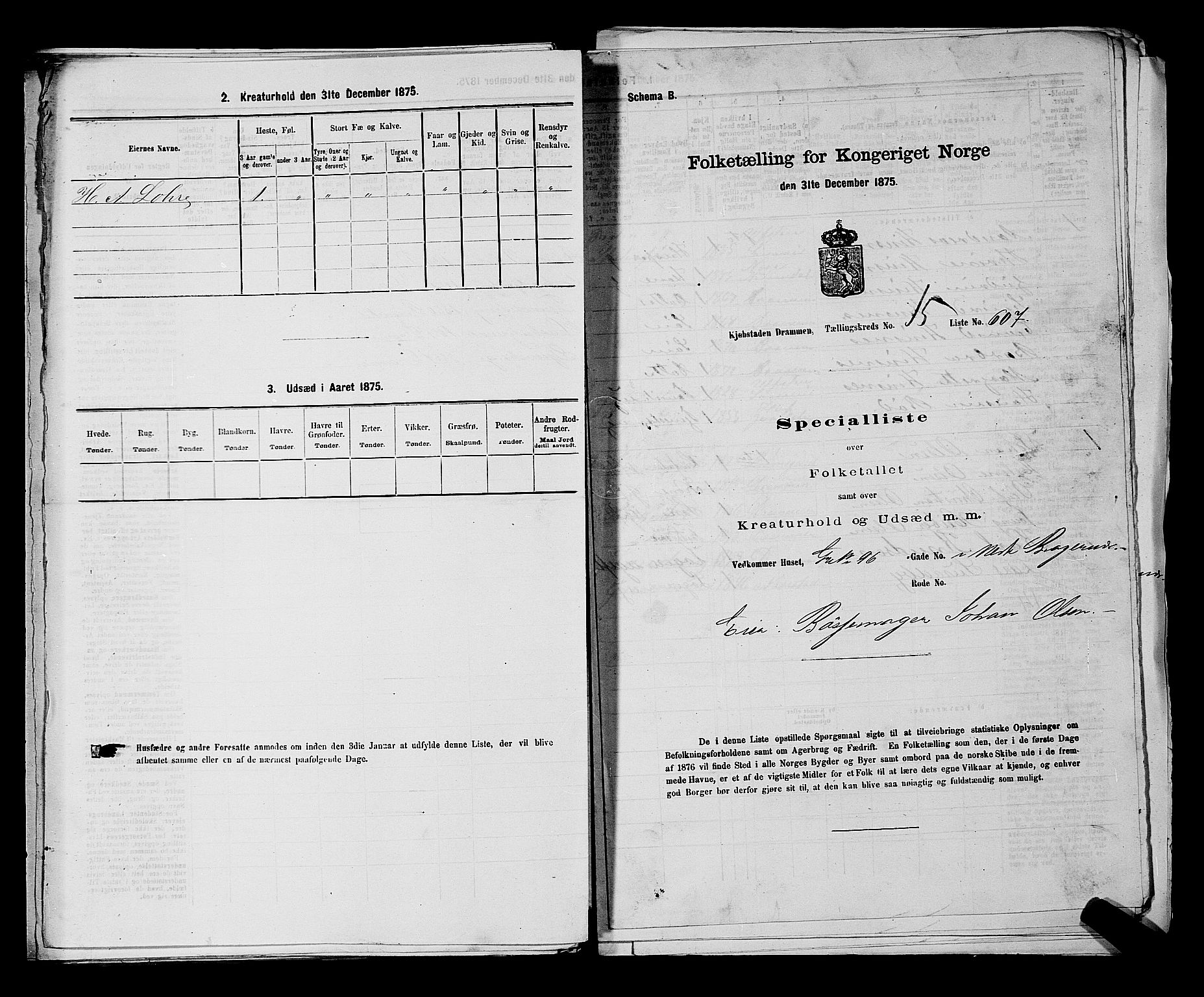 SAKO, 1875 census for 0602 Drammen, 1875, p. 1725