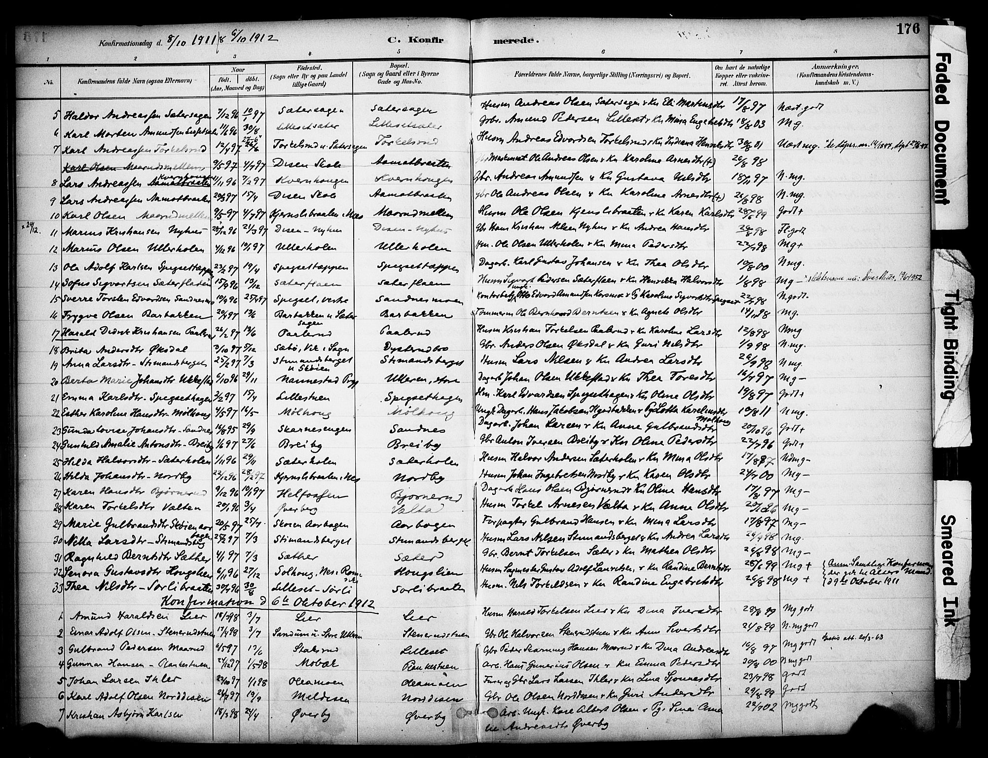 Sør-Odal prestekontor, SAH/PREST-030/H/Ha/Haa/L0008: Parish register (official) no. 8, 1886-1922, p. 176