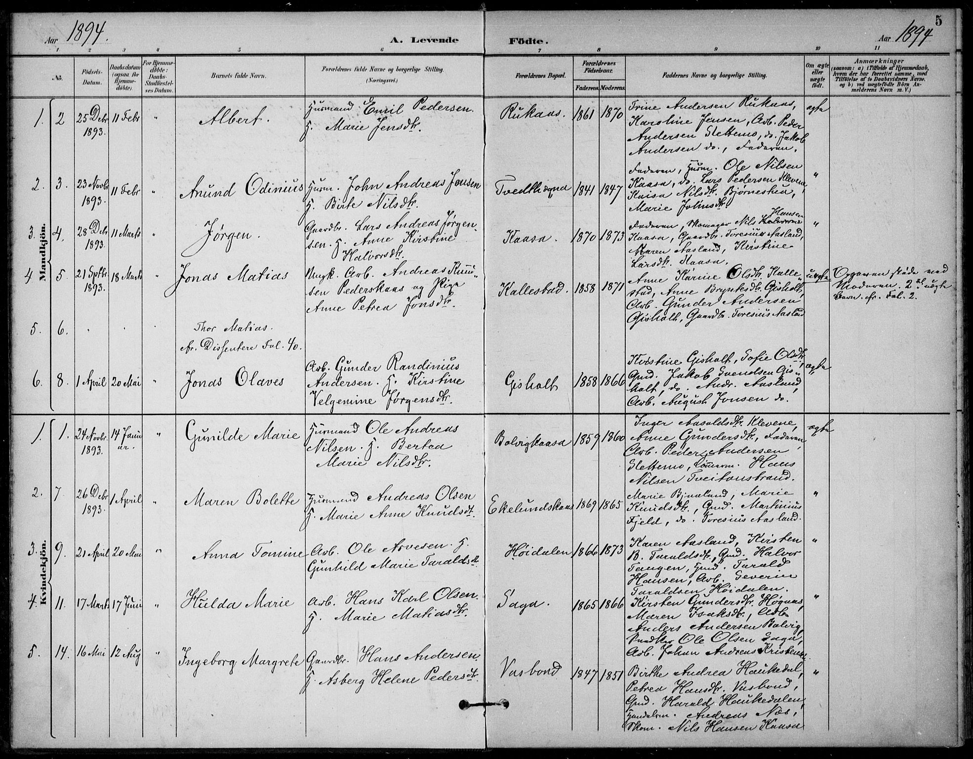 Solum kirkebøker, SAKO/A-306/F/Fc/L0002: Parish register (official) no. III 2, 1892-1906, p. 5
