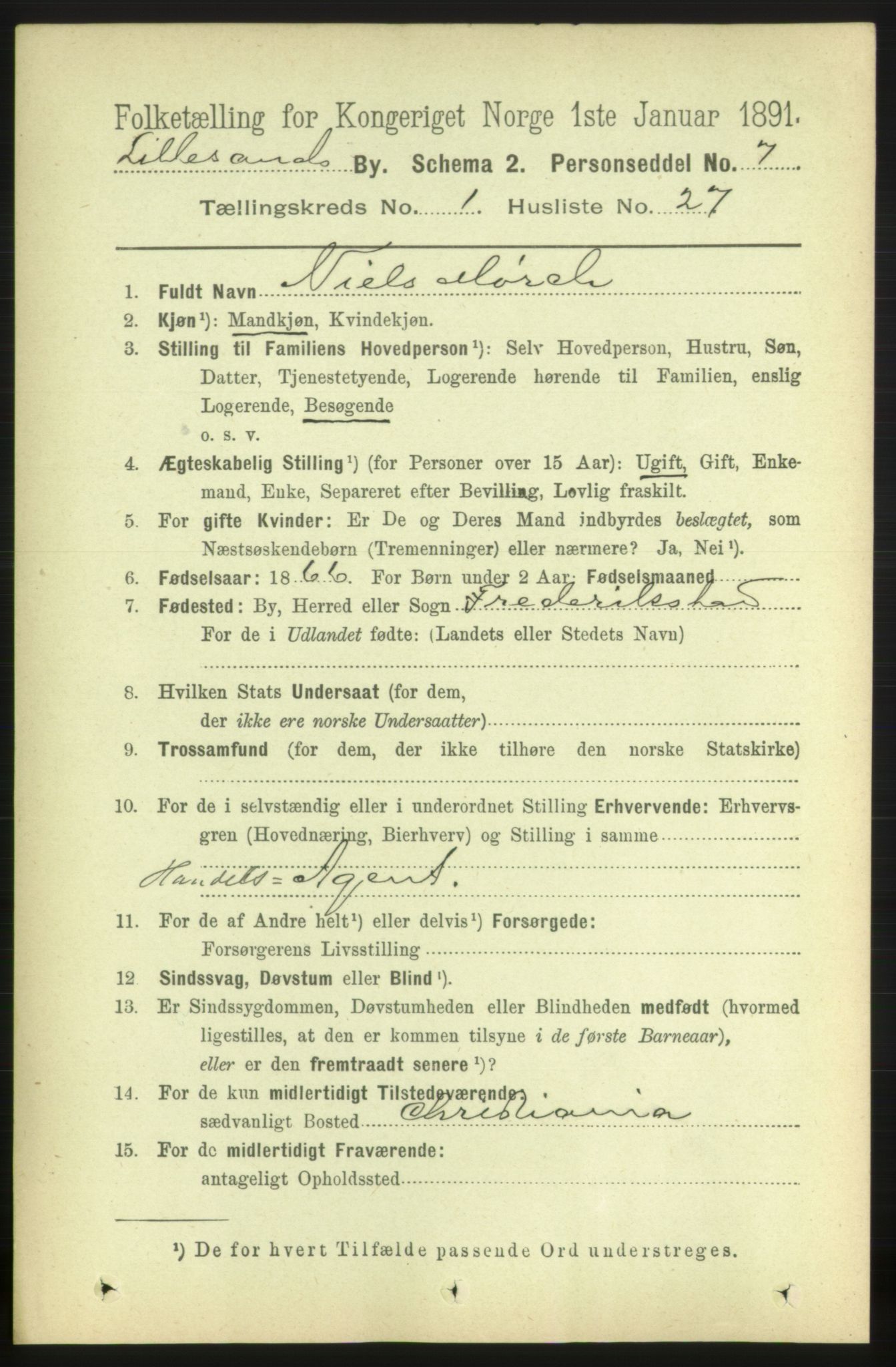 RA, 1891 census for 0905 Lillesand, 1891, p. 169