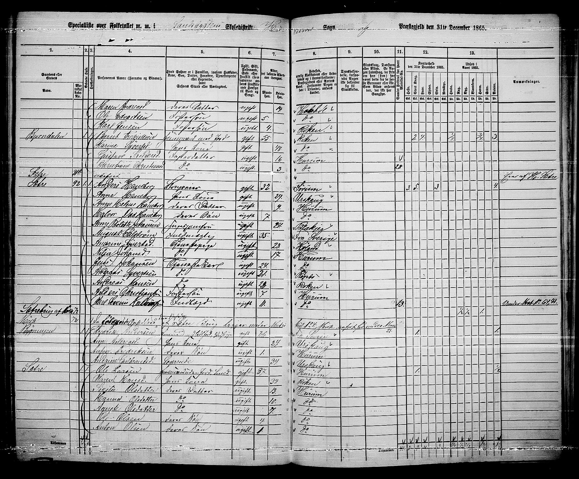 RA, 1865 census for Hurum, 1865, p. 99