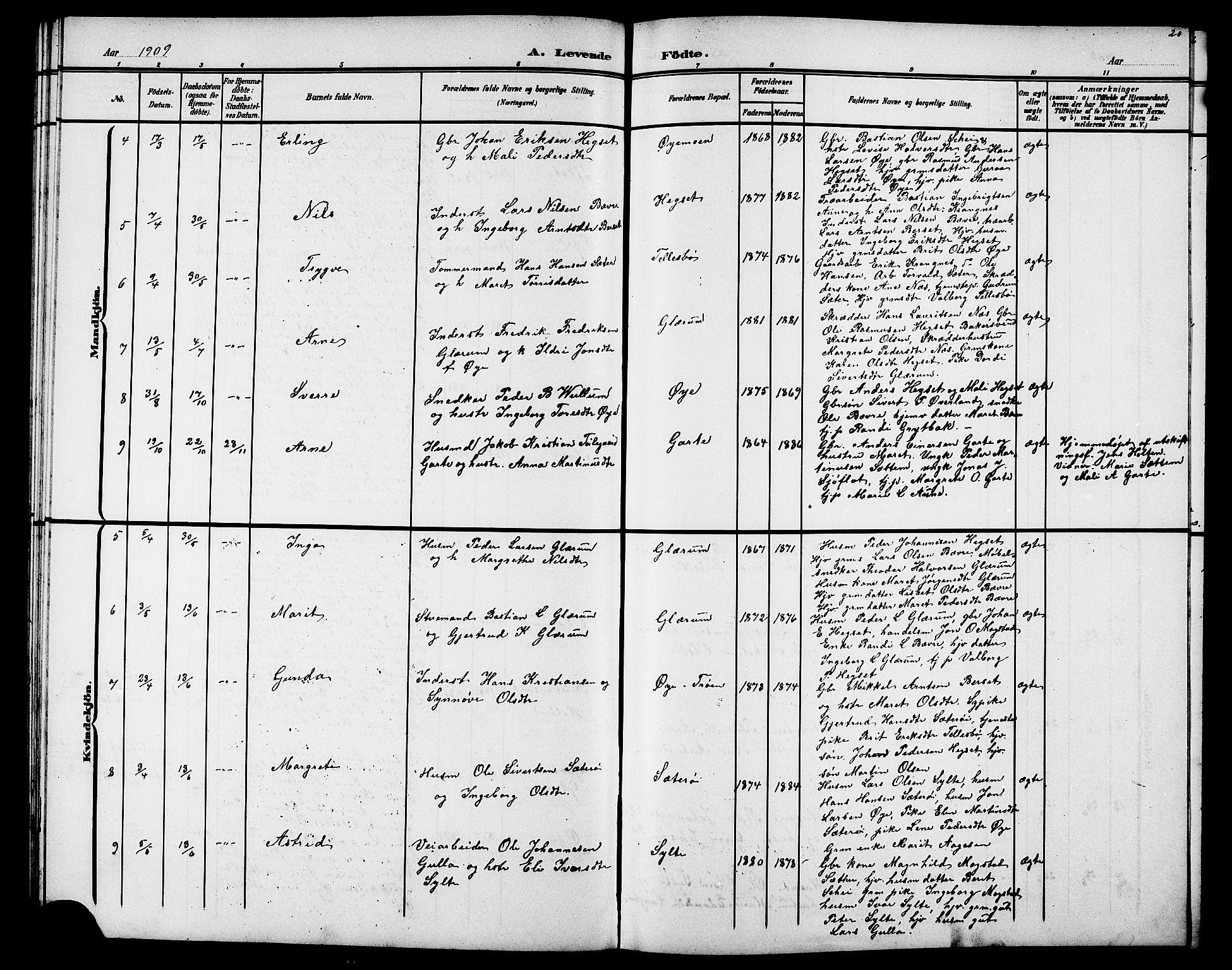 Ministerialprotokoller, klokkerbøker og fødselsregistre - Møre og Romsdal, AV/SAT-A-1454/595/L1053: Parish register (copy) no. 595C05, 1901-1919, p. 20