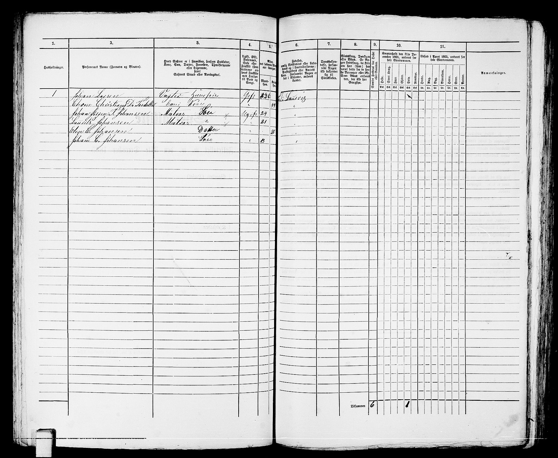 RA, 1865 census for Larvik, 1865, p. 252