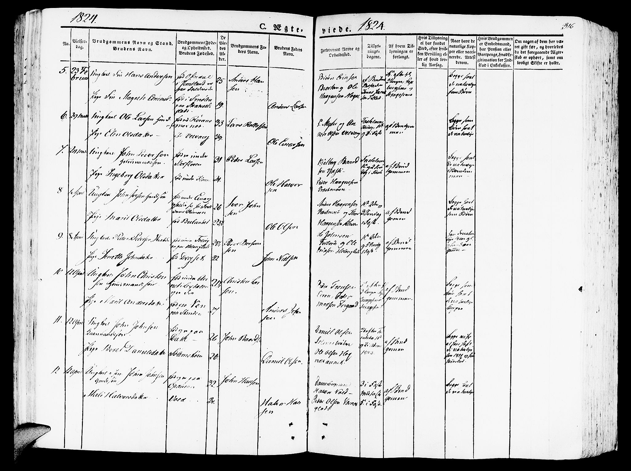 Ministerialprotokoller, klokkerbøker og fødselsregistre - Nord-Trøndelag, SAT/A-1458/709/L0070: Parish register (official) no. 709A10, 1820-1832, p. 316