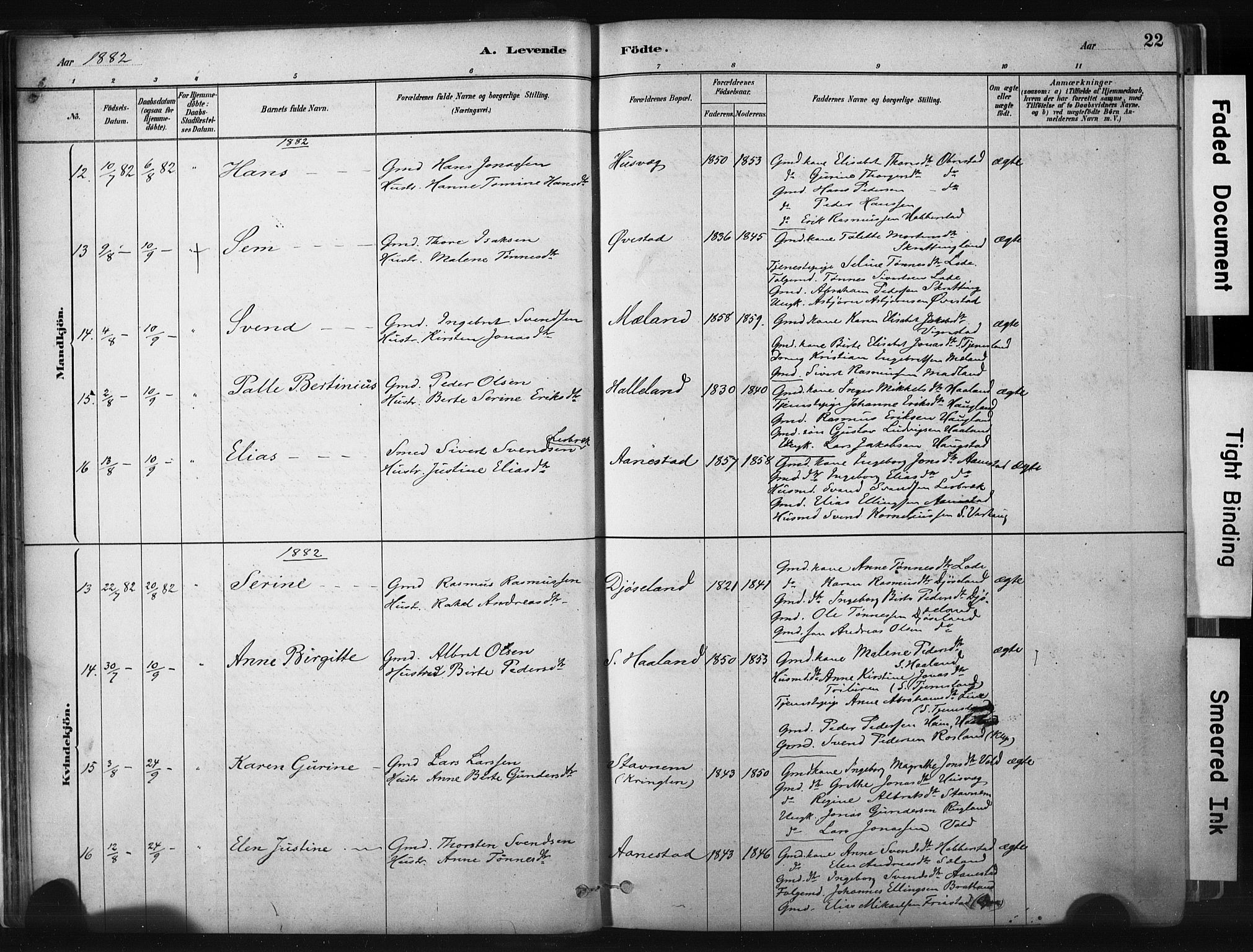 Hå sokneprestkontor, AV/SAST-A-101801/001/30BA/L0011: Parish register (official) no. A 10, 1879-1900, p. 22