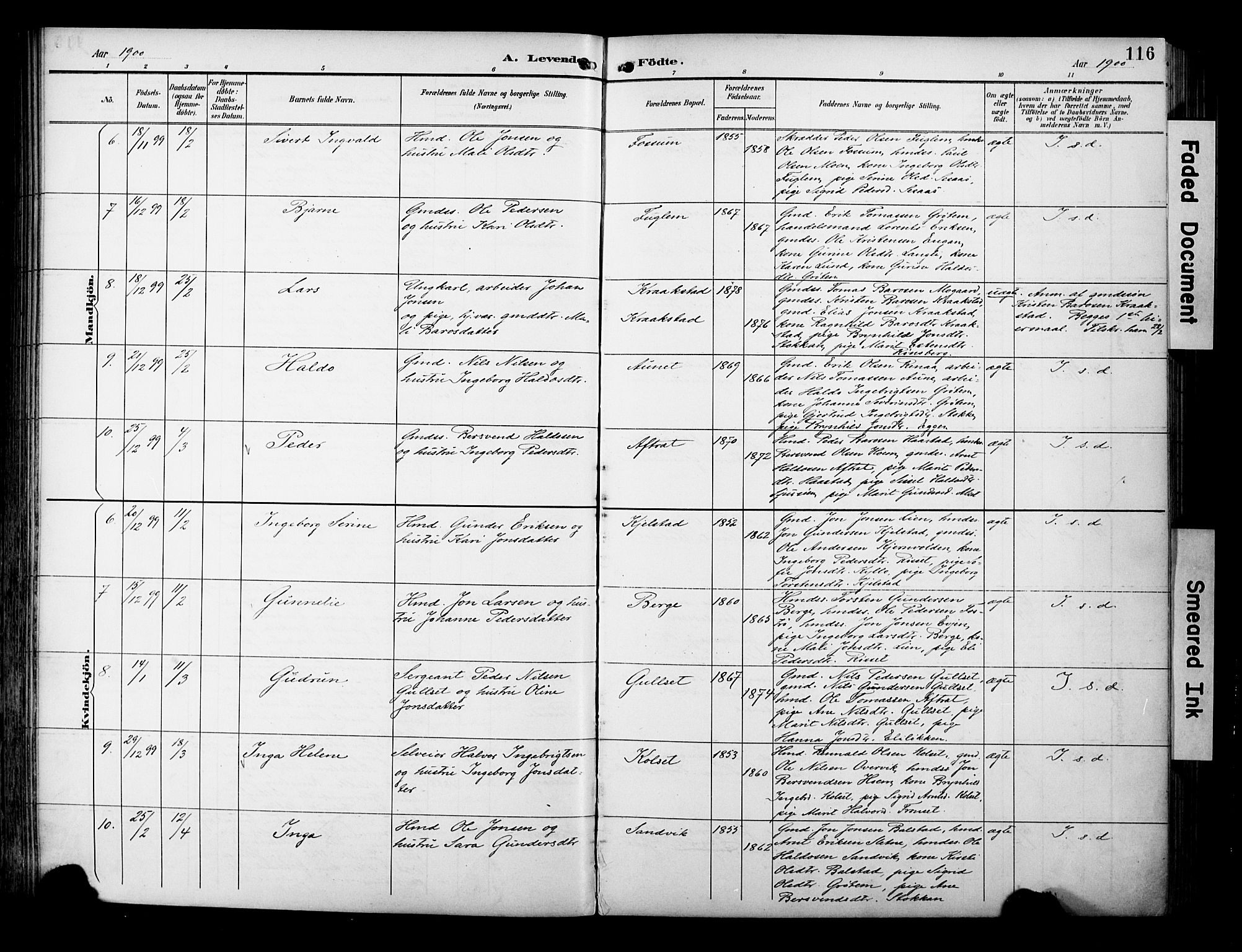 Ministerialprotokoller, klokkerbøker og fødselsregistre - Sør-Trøndelag, AV/SAT-A-1456/695/L1149: Parish register (official) no. 695A09, 1891-1902, p. 116