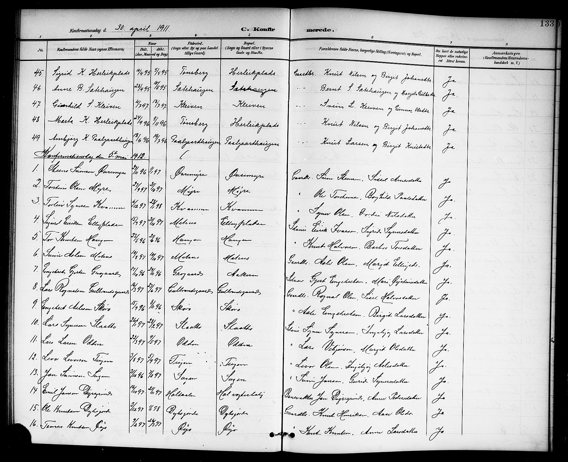 Hol kirkebøker, SAKO/A-227/G/Ga/L0001: Parish register (copy) no. I 1, 1900-1919, p. 133