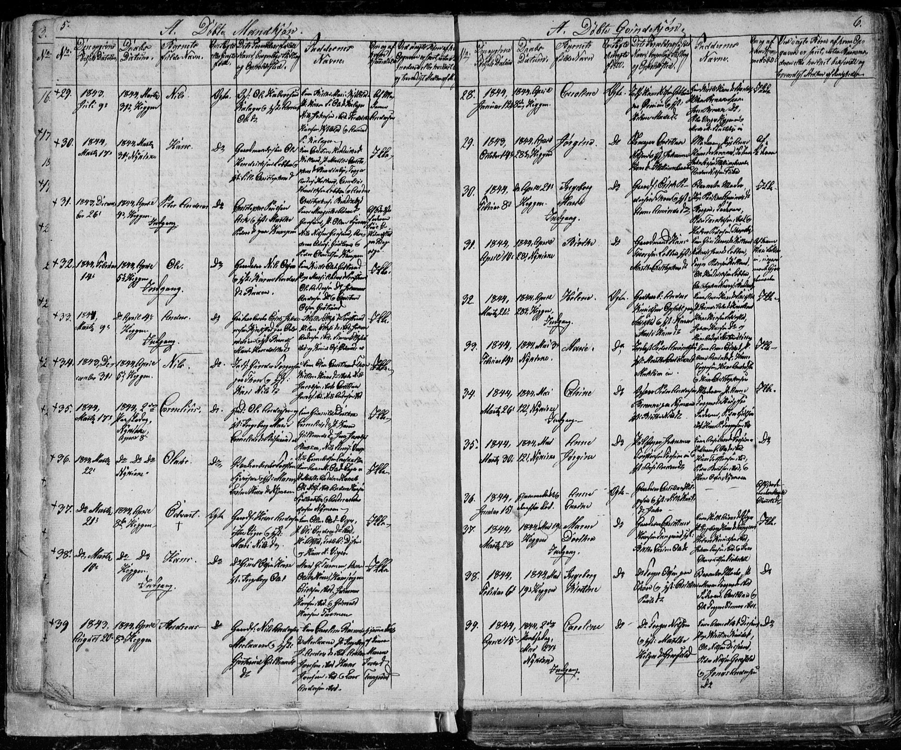 Modum kirkebøker, SAKO/A-234/G/Ga/L0004: Parish register (copy) no. I 4, 1843-1846, p. 5-6