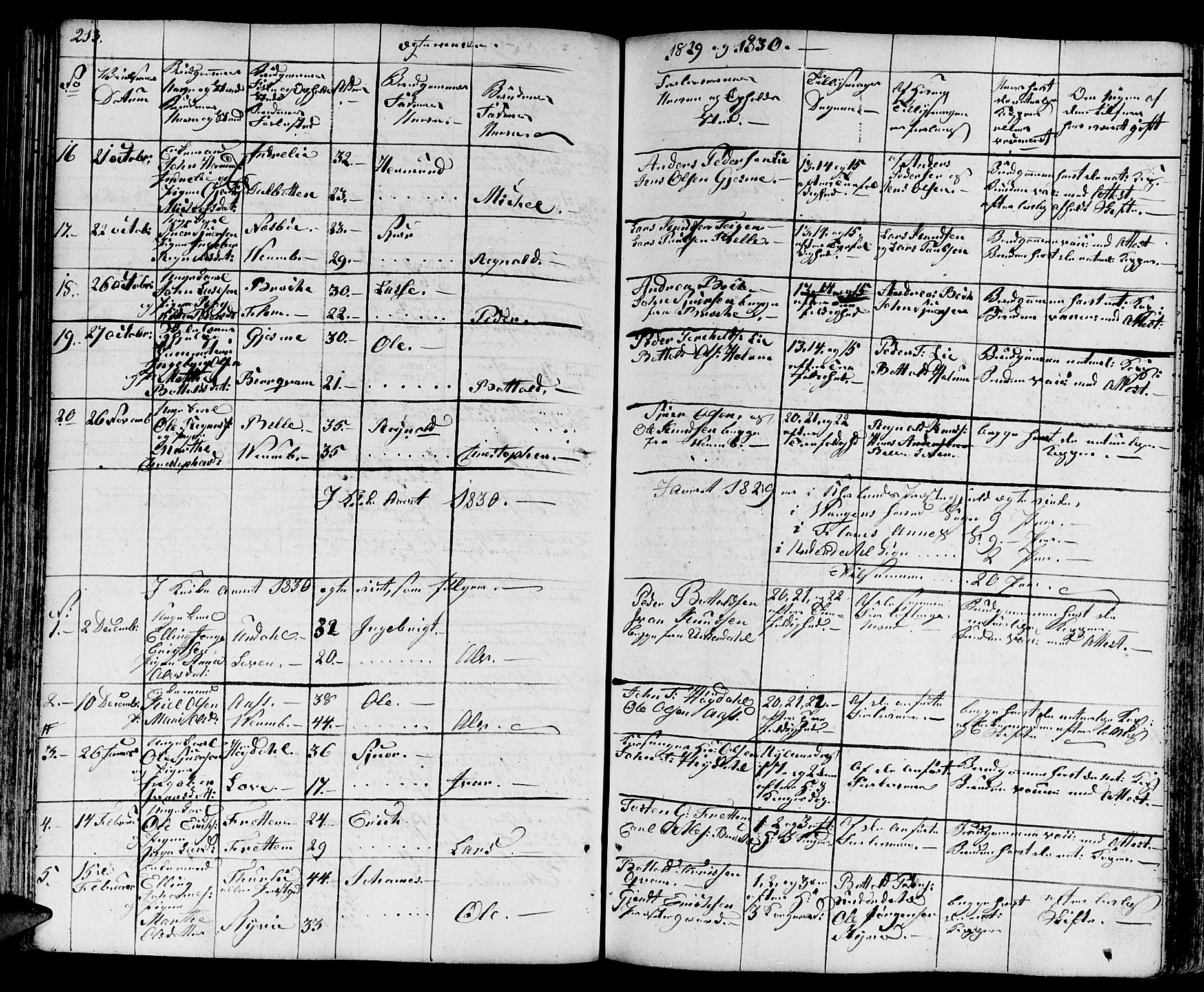 Aurland sokneprestembete, SAB/A-99937/H/Ha/Haa/L0006: Parish register (official) no. A 6, 1821-1859, p. 213