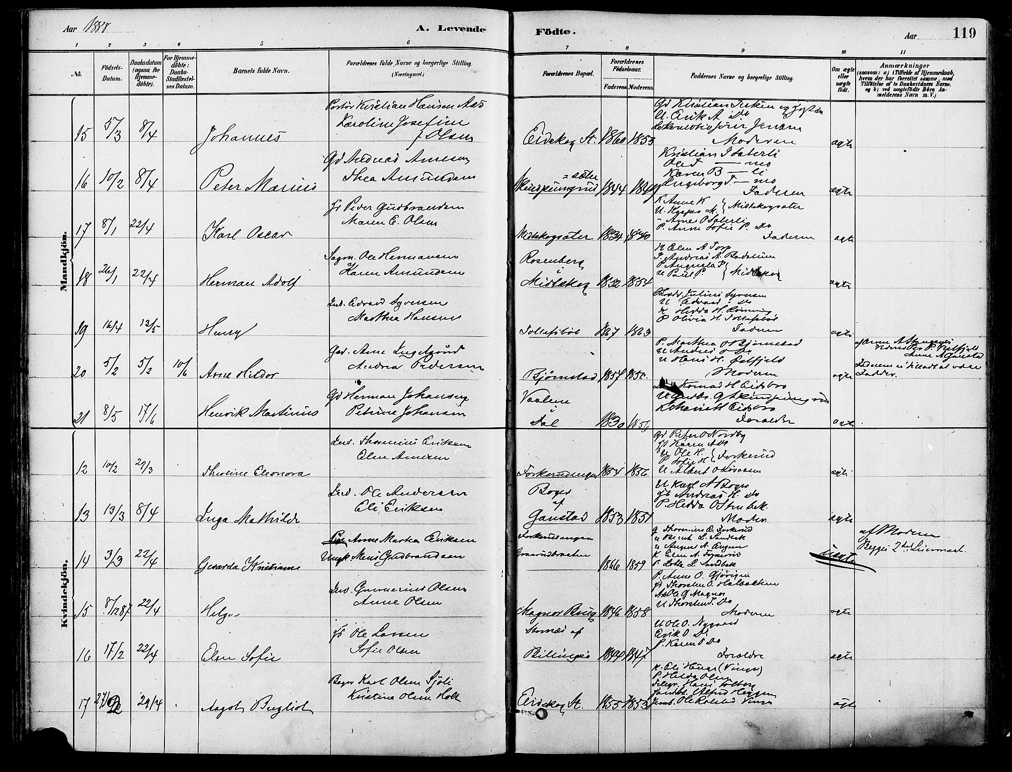 Eidskog prestekontor, SAH/PREST-026/H/Ha/Haa/L0003: Parish register (official) no. 3, 1879-1892, p. 119