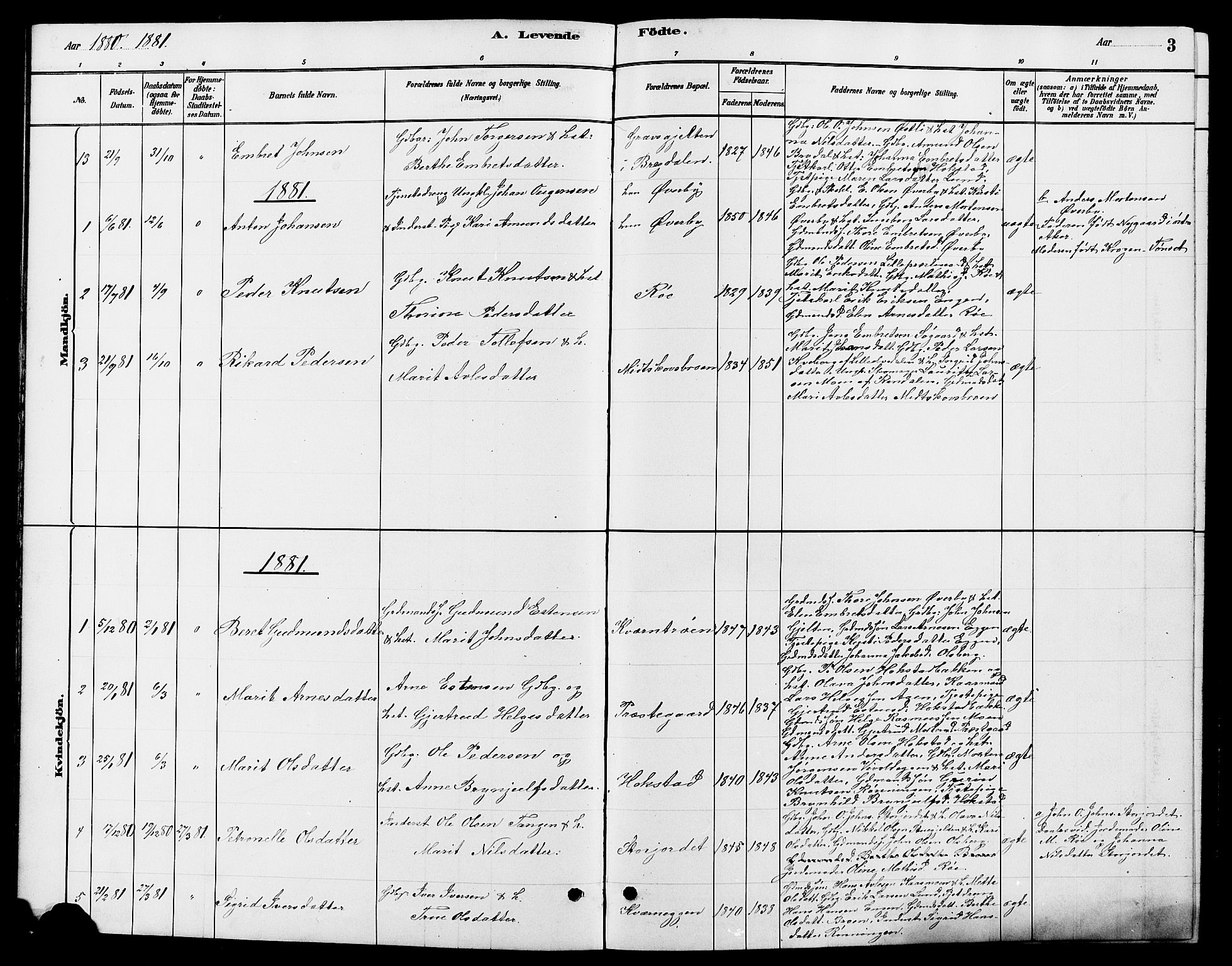 Tynset prestekontor, AV/SAH-PREST-058/H/Ha/Hab/L0007: Parish register (copy) no. 7, 1880-1901, p. 3