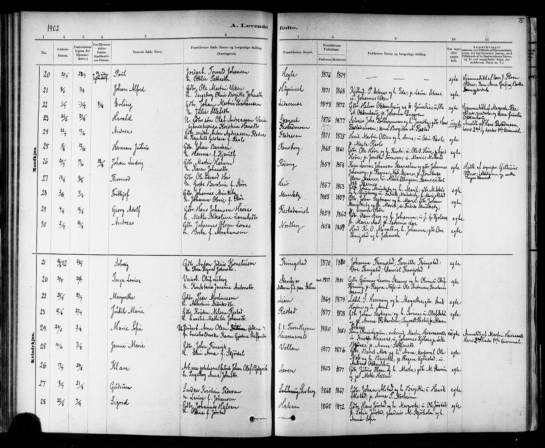 Ministerialprotokoller, klokkerbøker og fødselsregistre - Nord-Trøndelag, SAT/A-1458/721/L0208: Parish register (copy) no. 721C01, 1880-1917, p. 75