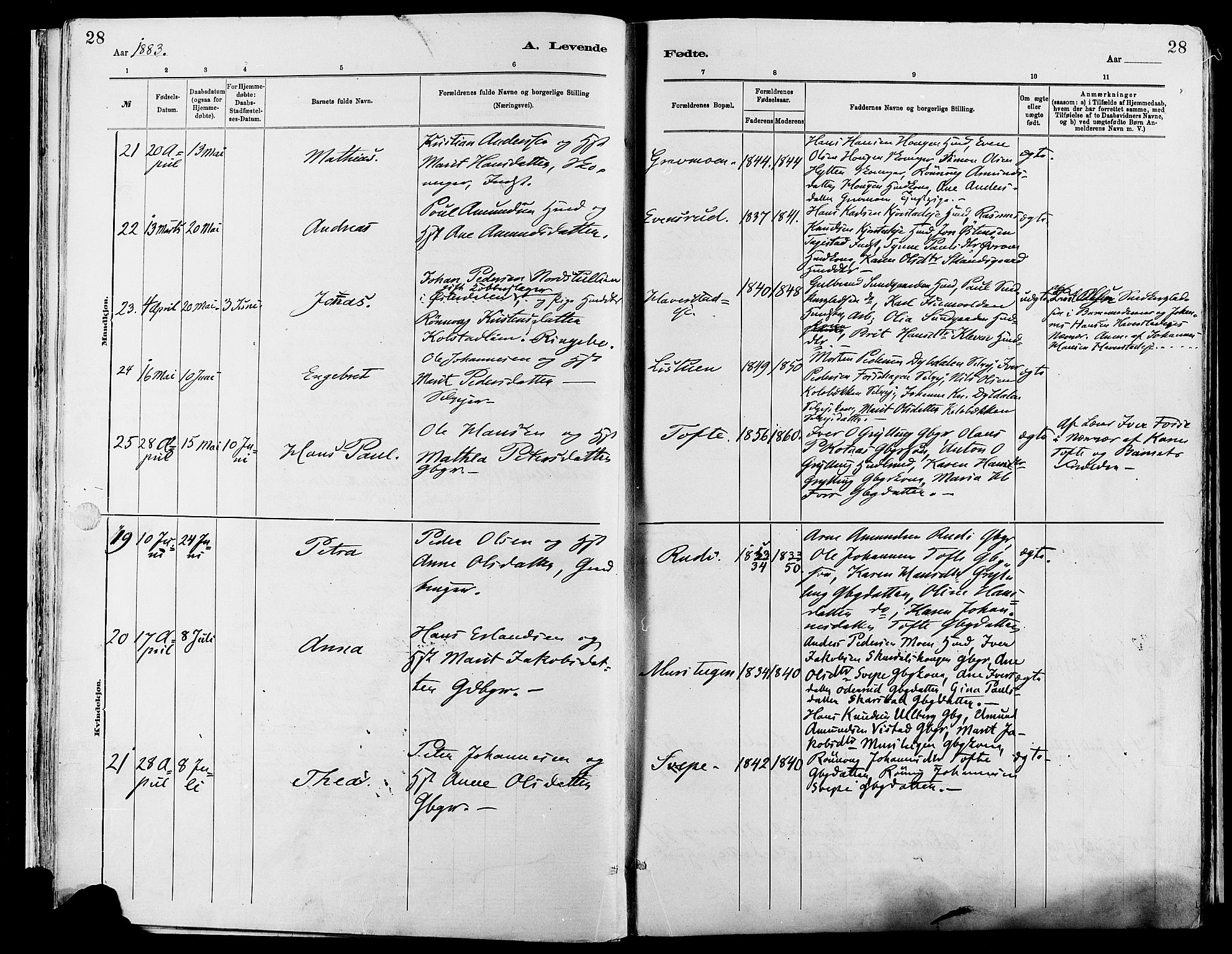 Sør-Fron prestekontor, AV/SAH-PREST-010/H/Ha/Haa/L0003: Parish register (official) no. 3, 1881-1897, p. 28