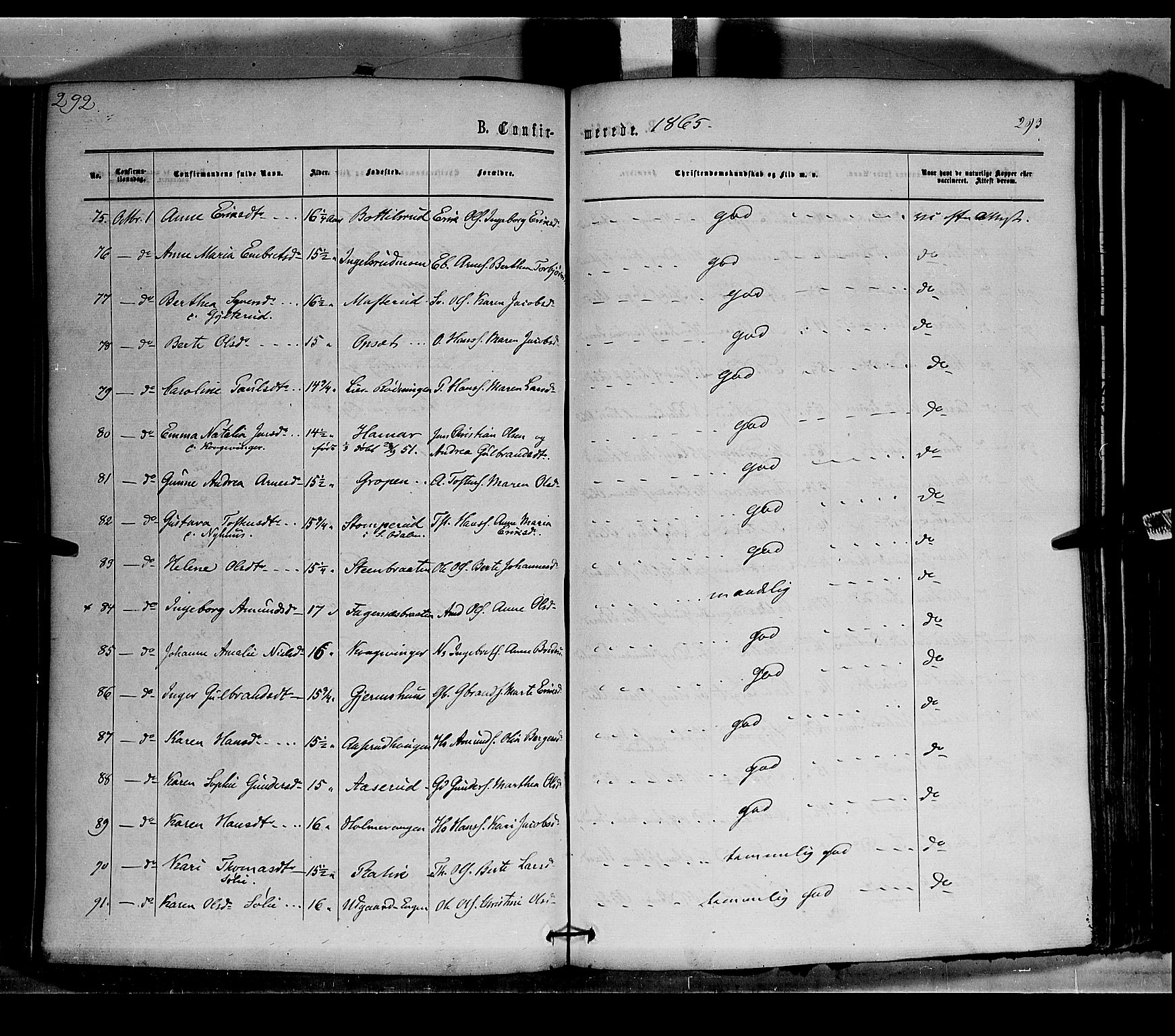 Vinger prestekontor, AV/SAH-PREST-024/H/Ha/Haa/L0011: Parish register (official) no. 11, 1862-1870, p. 293