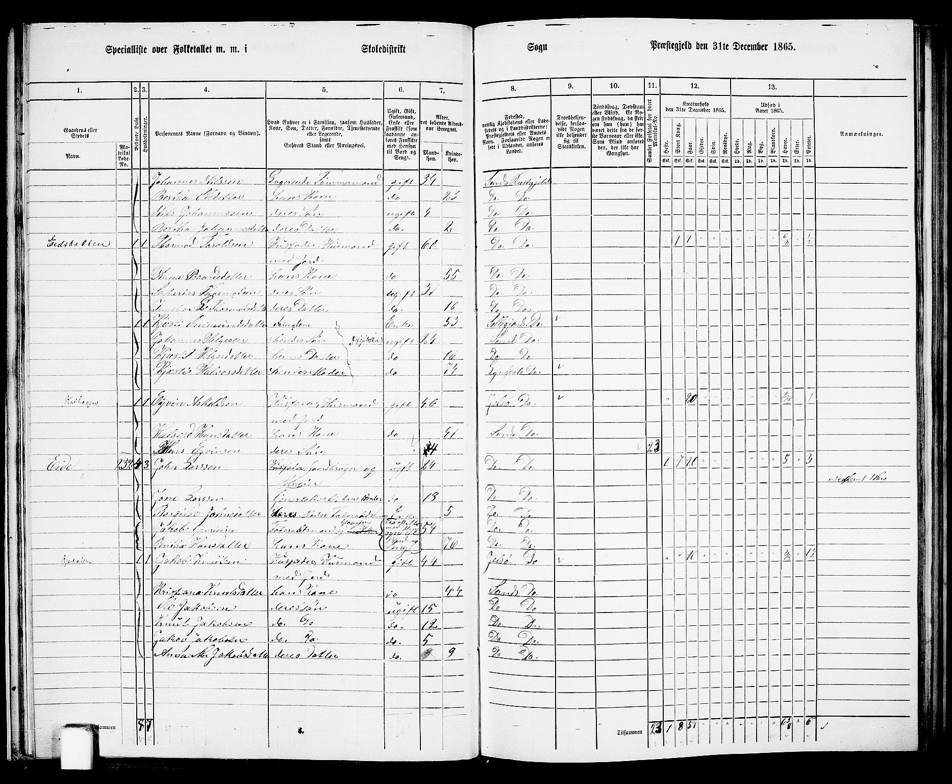 RA, 1865 census for Sand, 1865, p. 30