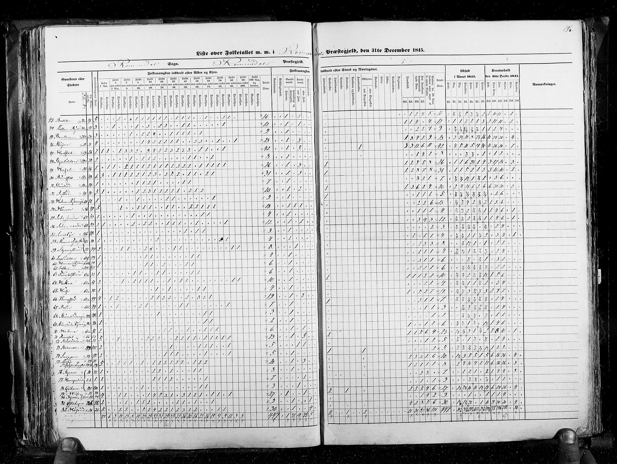 RA, Census 1845, vol. 3: Hedemarken amt og Kristians amt, 1845, p. 196