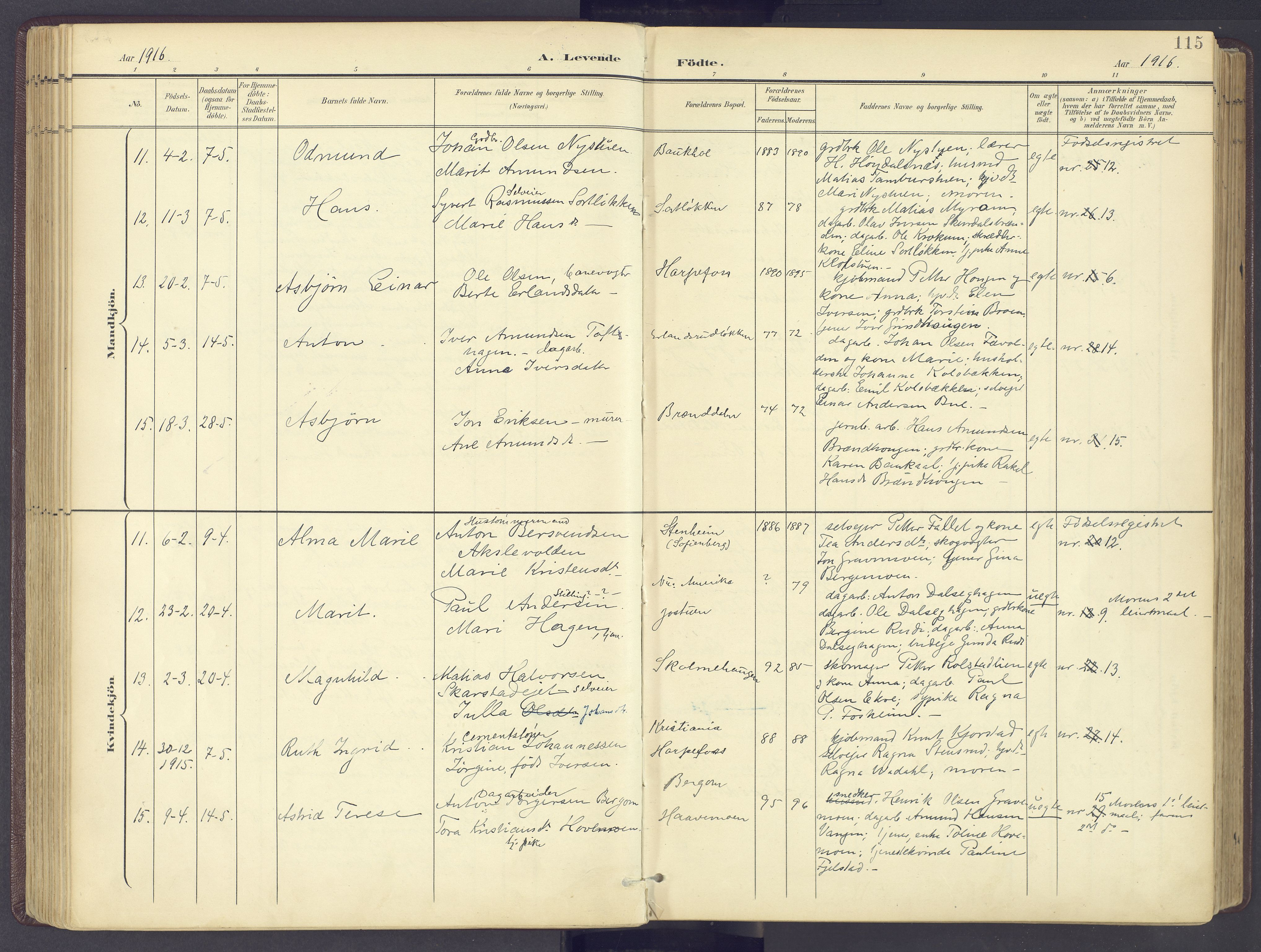 Sør-Fron prestekontor, AV/SAH-PREST-010/H/Ha/Haa/L0004: Parish register (official) no. 4, 1898-1919, p. 115