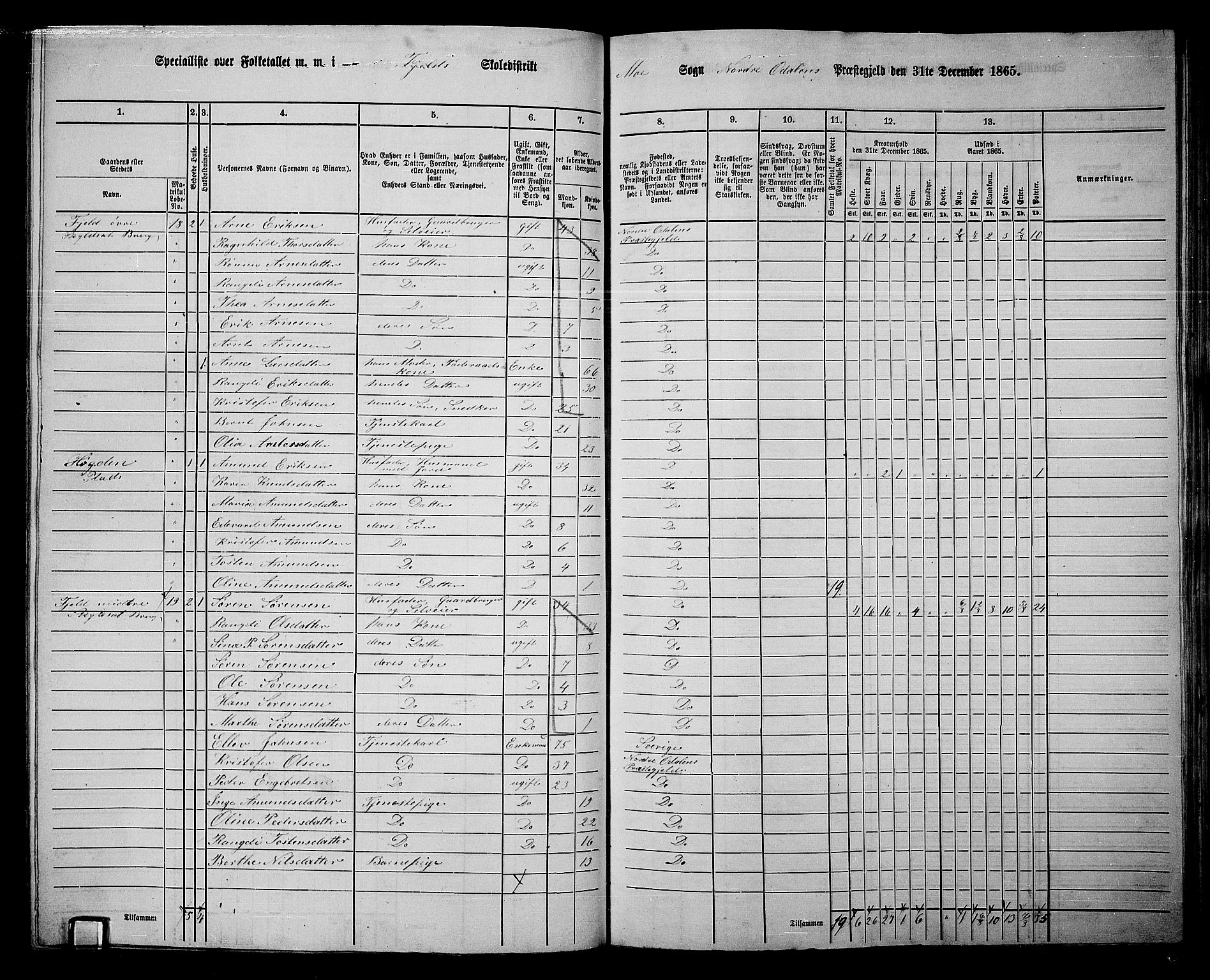 RA, 1865 census for Nord-Odal, 1865, p. 100