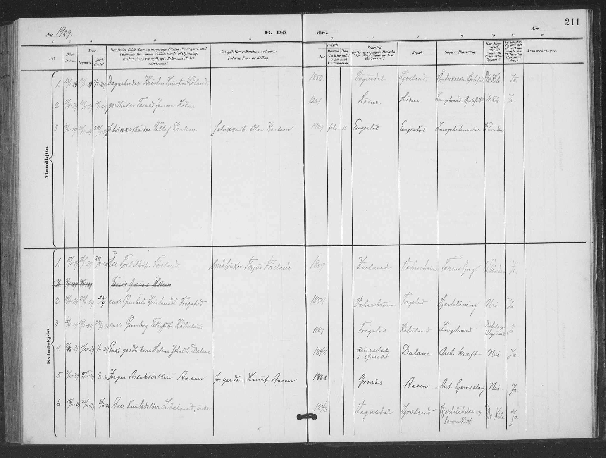 Evje sokneprestkontor, AV/SAK-1111-0008/F/Fb/Fbc/L0005: Parish register (copy) no. B 5, 1901-1935, p. 211