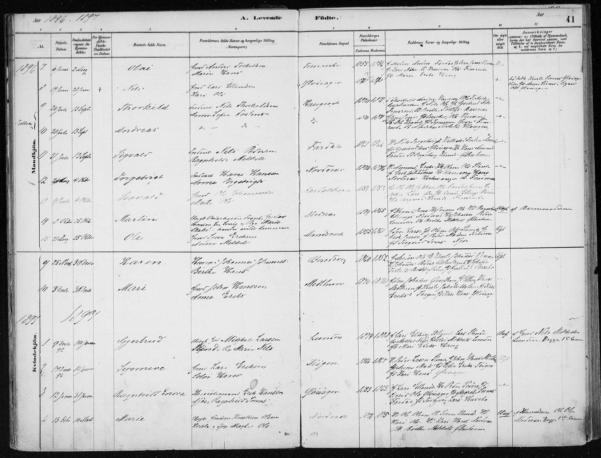Sogndal sokneprestembete, SAB/A-81301/H/Haa/Haac/L0001: Parish register (official) no. C 1, 1878-1907, p. 41