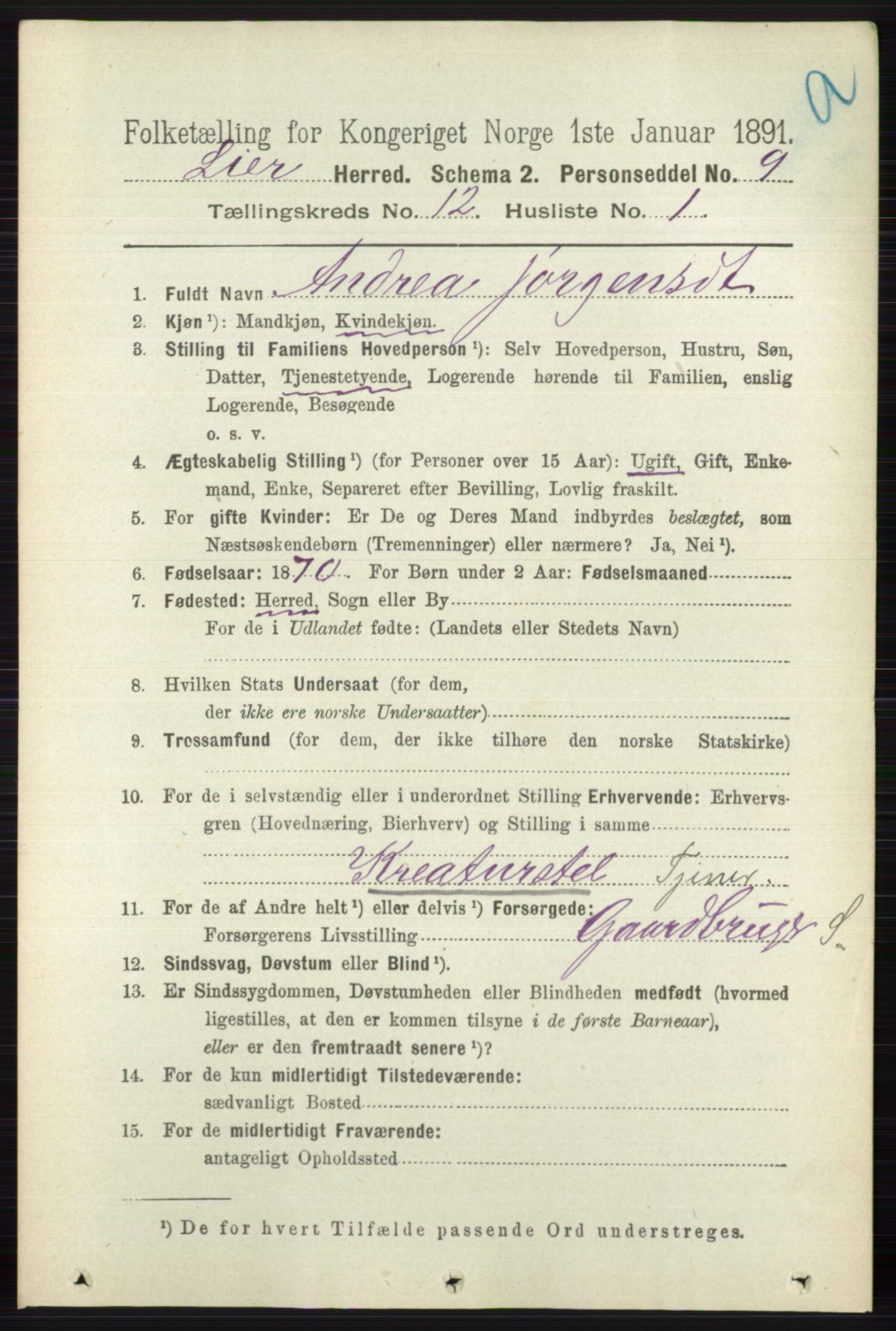 RA, 1891 census for 0626 Lier, 1891, p. 7371