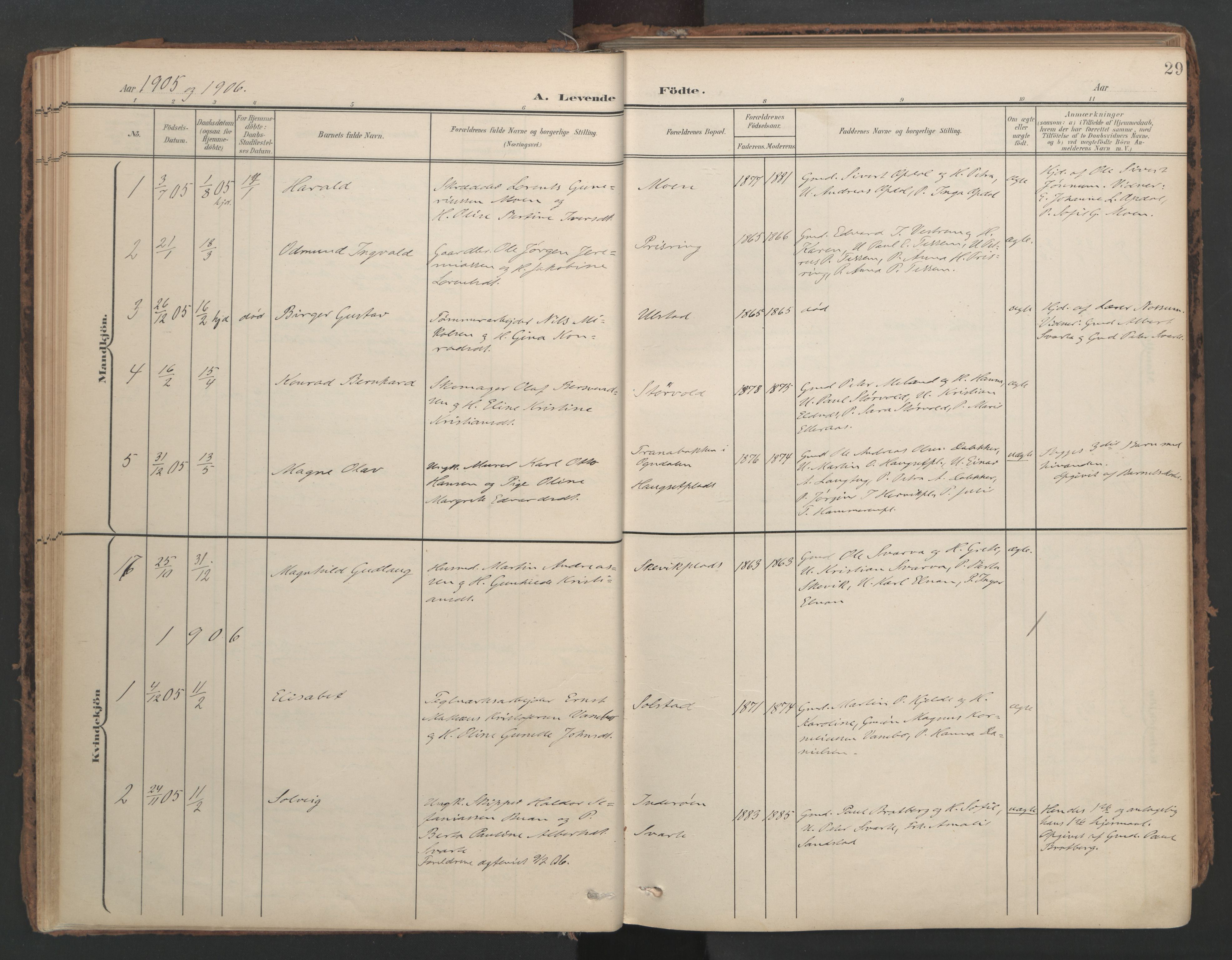 Ministerialprotokoller, klokkerbøker og fødselsregistre - Nord-Trøndelag, SAT/A-1458/741/L0397: Parish register (official) no. 741A11, 1901-1911, p. 29