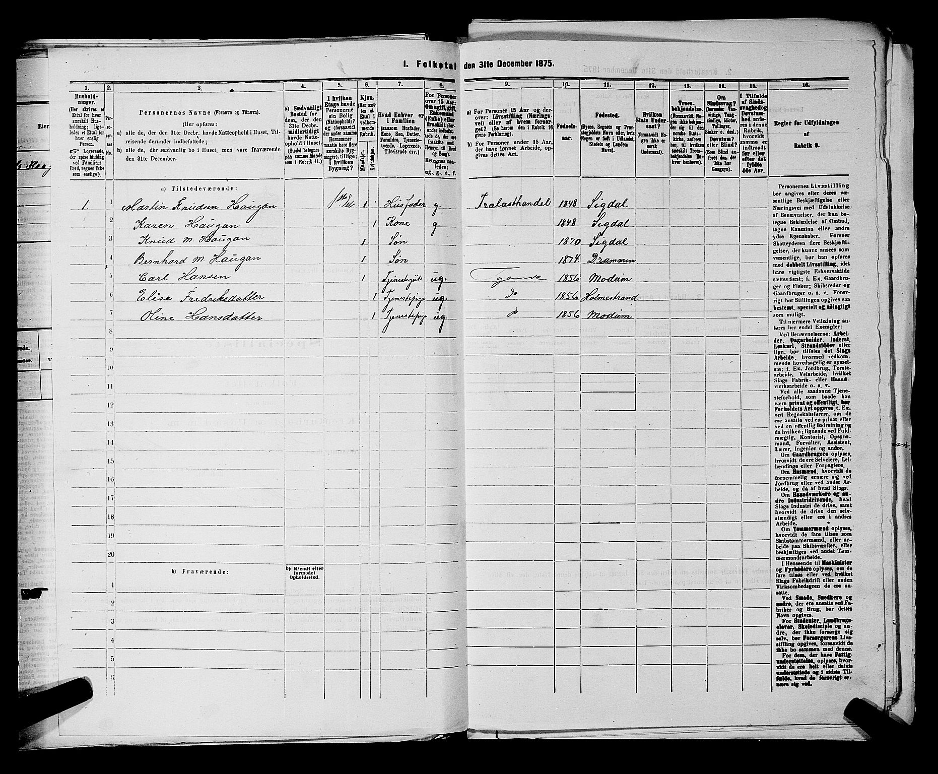 SAKO, 1875 census for 0602 Drammen, 1875, p. 1722