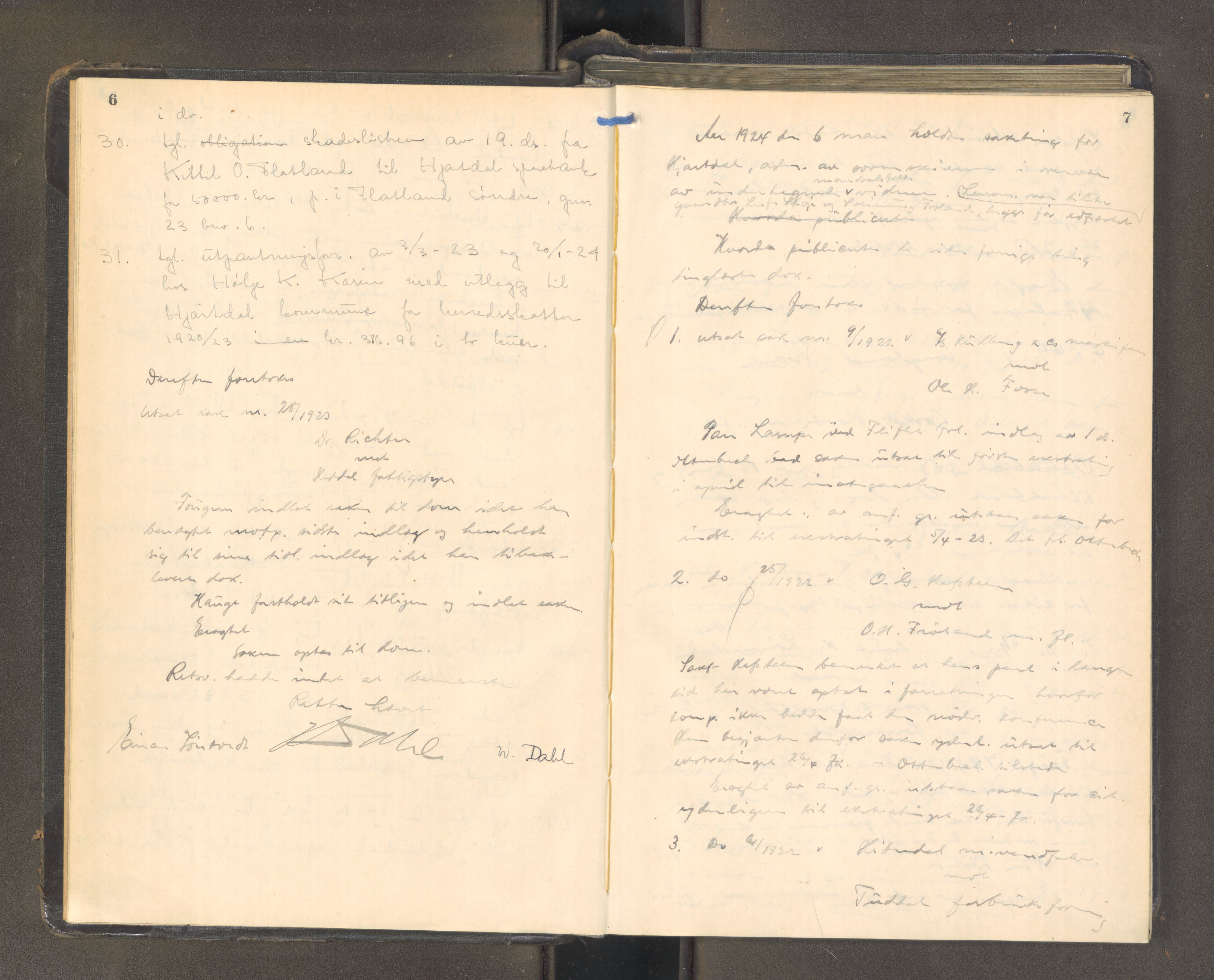 Heddal sorenskriveri, AV/SAKO-A-211/F/Fa/Faa/L0002: Tingbok, 1924-1925, p. 6-7