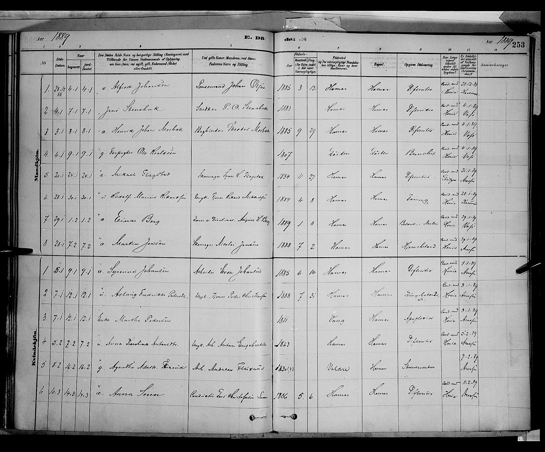 Vang prestekontor, Hedmark, SAH/PREST-008/H/Ha/Haa/L0016: Parish register (official) no. 16, 1878-1889, p. 253