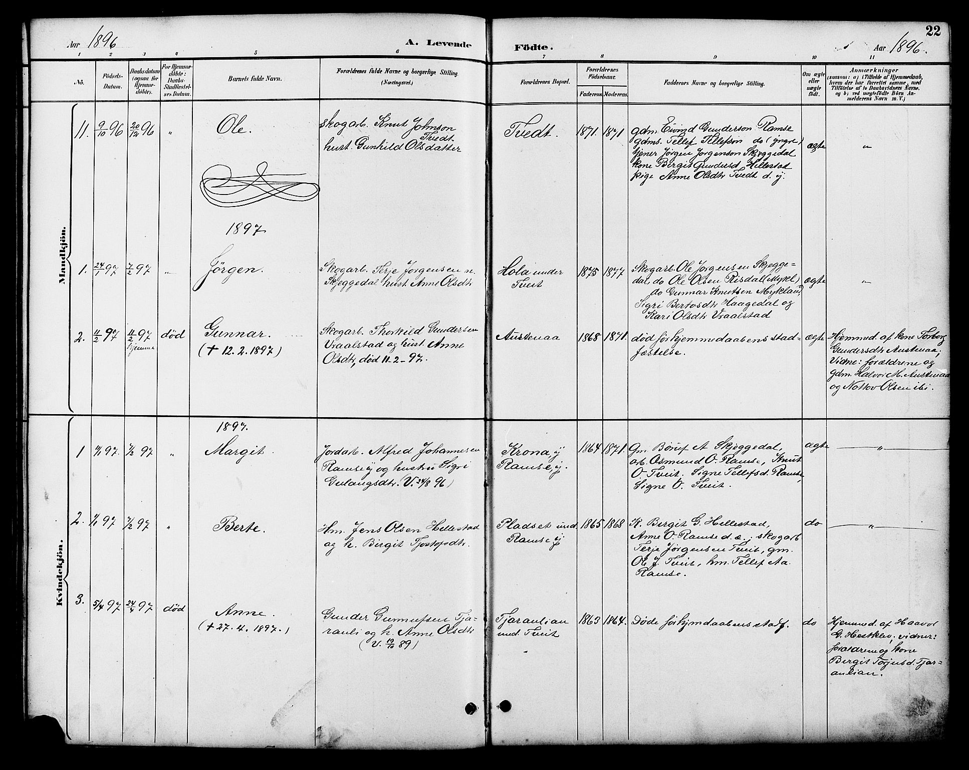 Åmli sokneprestkontor, SAK/1111-0050/F/Fb/Fbb/L0002: Parish register (copy) no. B 2, 1890-1905, p. 22