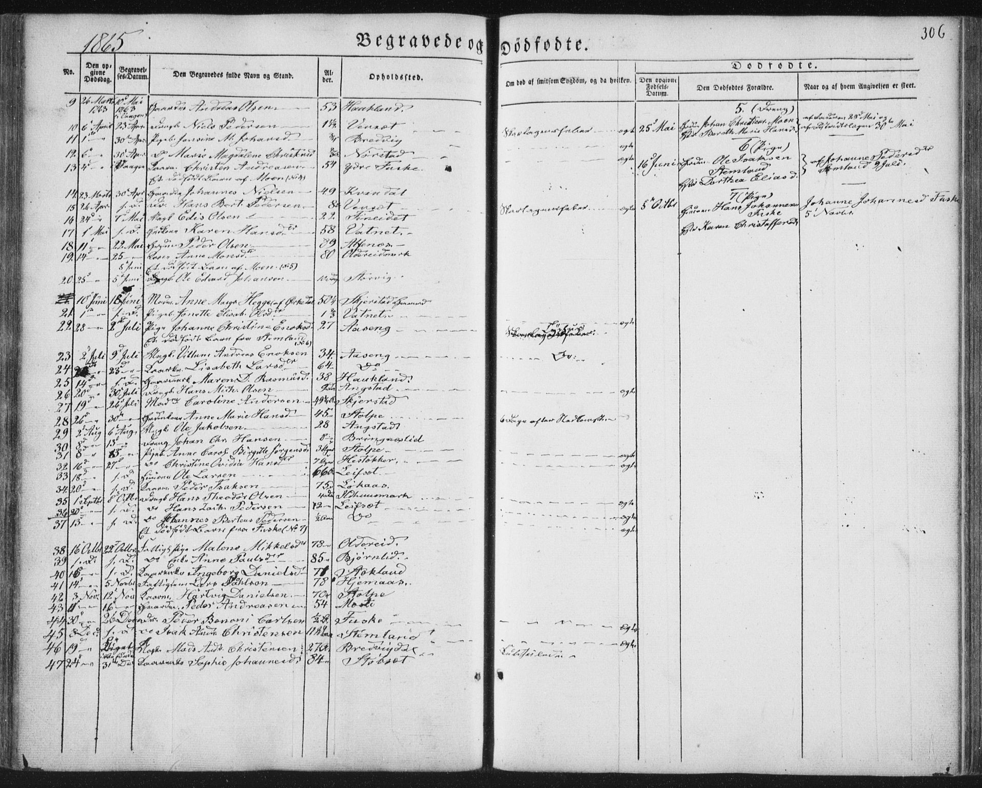 Ministerialprotokoller, klokkerbøker og fødselsregistre - Nordland, AV/SAT-A-1459/852/L0738: Parish register (official) no. 852A08, 1849-1865, p. 306