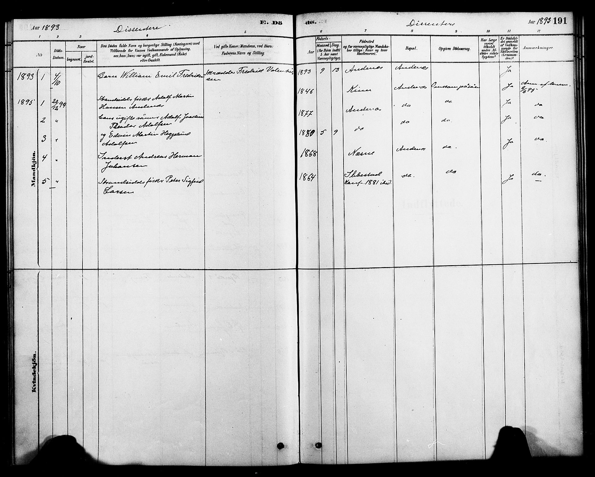 Ministerialprotokoller, klokkerbøker og fødselsregistre - Nordland, SAT/A-1459/899/L1436: Parish register (official) no. 899A04, 1881-1896, p. 191