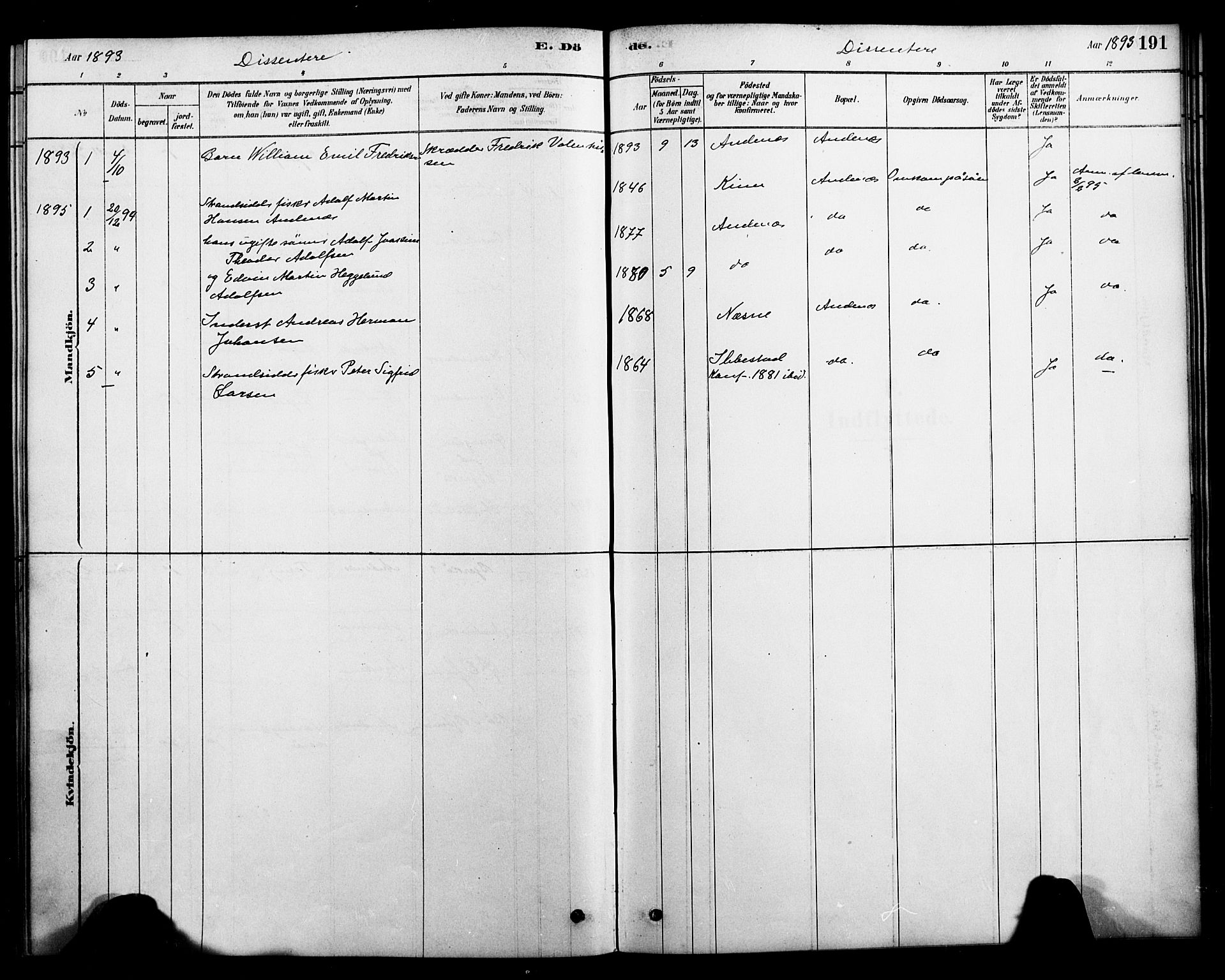 Ministerialprotokoller, klokkerbøker og fødselsregistre - Nordland, AV/SAT-A-1459/899/L1436: Parish register (official) no. 899A04, 1881-1896, p. 191