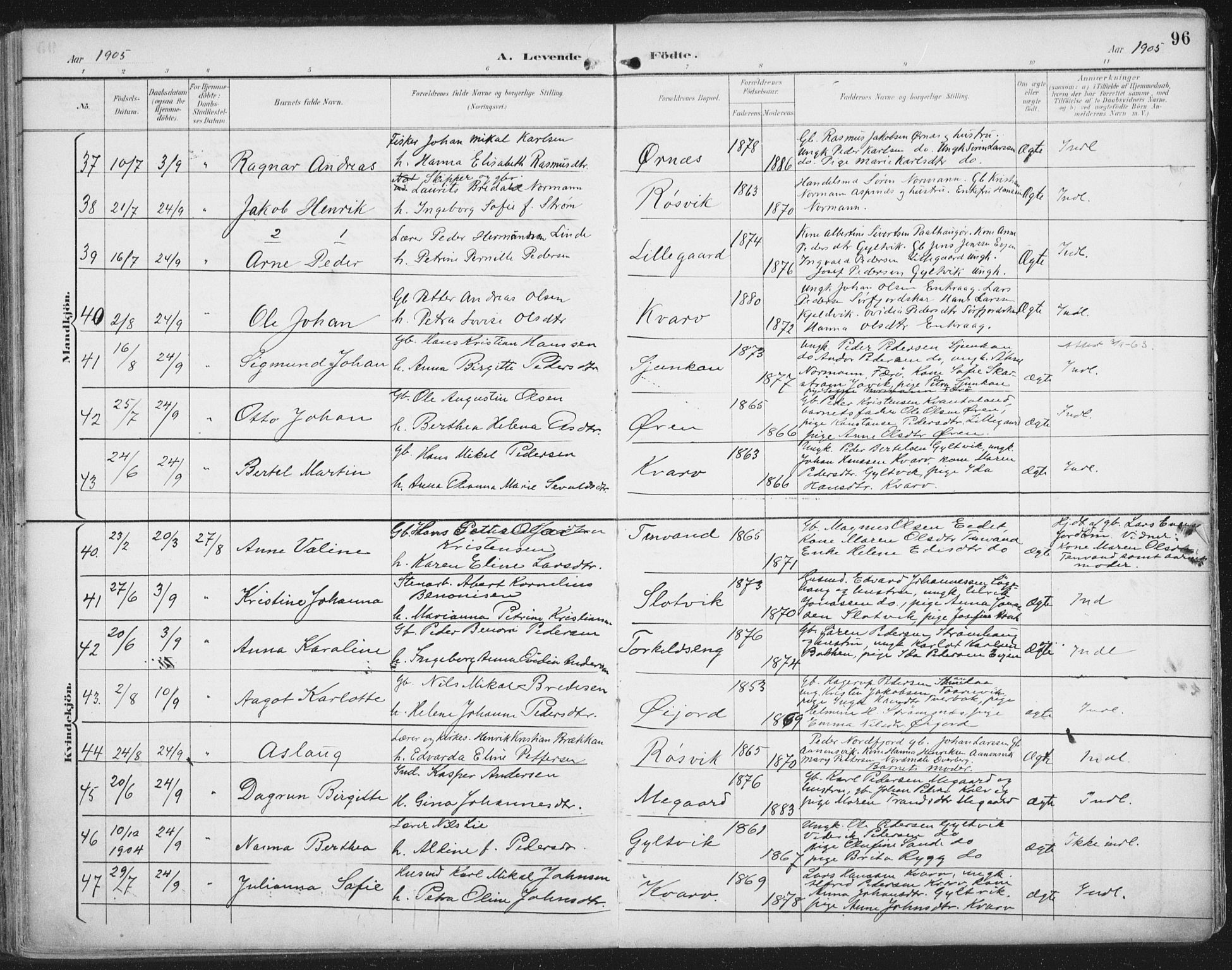 Ministerialprotokoller, klokkerbøker og fødselsregistre - Nordland, AV/SAT-A-1459/854/L0779: Parish register (official) no. 854A02, 1892-1909, p. 96