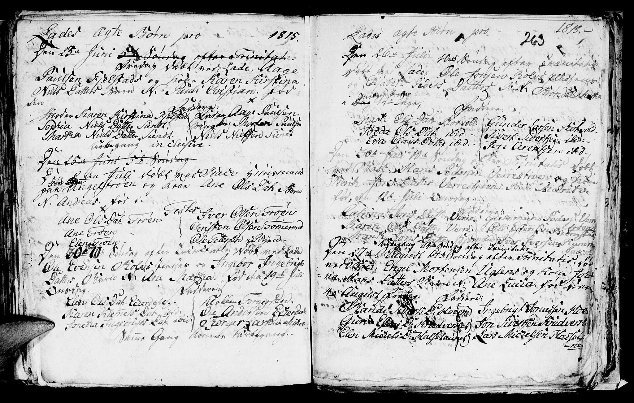 Ministerialprotokoller, klokkerbøker og fødselsregistre - Sør-Trøndelag, AV/SAT-A-1456/606/L0305: Parish register (copy) no. 606C01, 1757-1819, p. 263