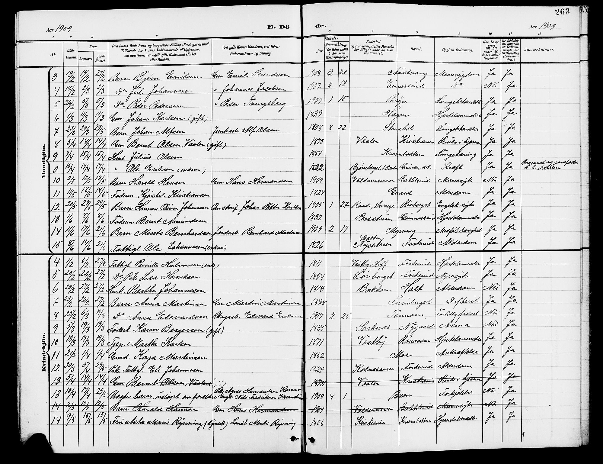 Grue prestekontor, SAH/PREST-036/H/Ha/Hab/L0005: Parish register (copy) no. 5, 1900-1909, p. 263