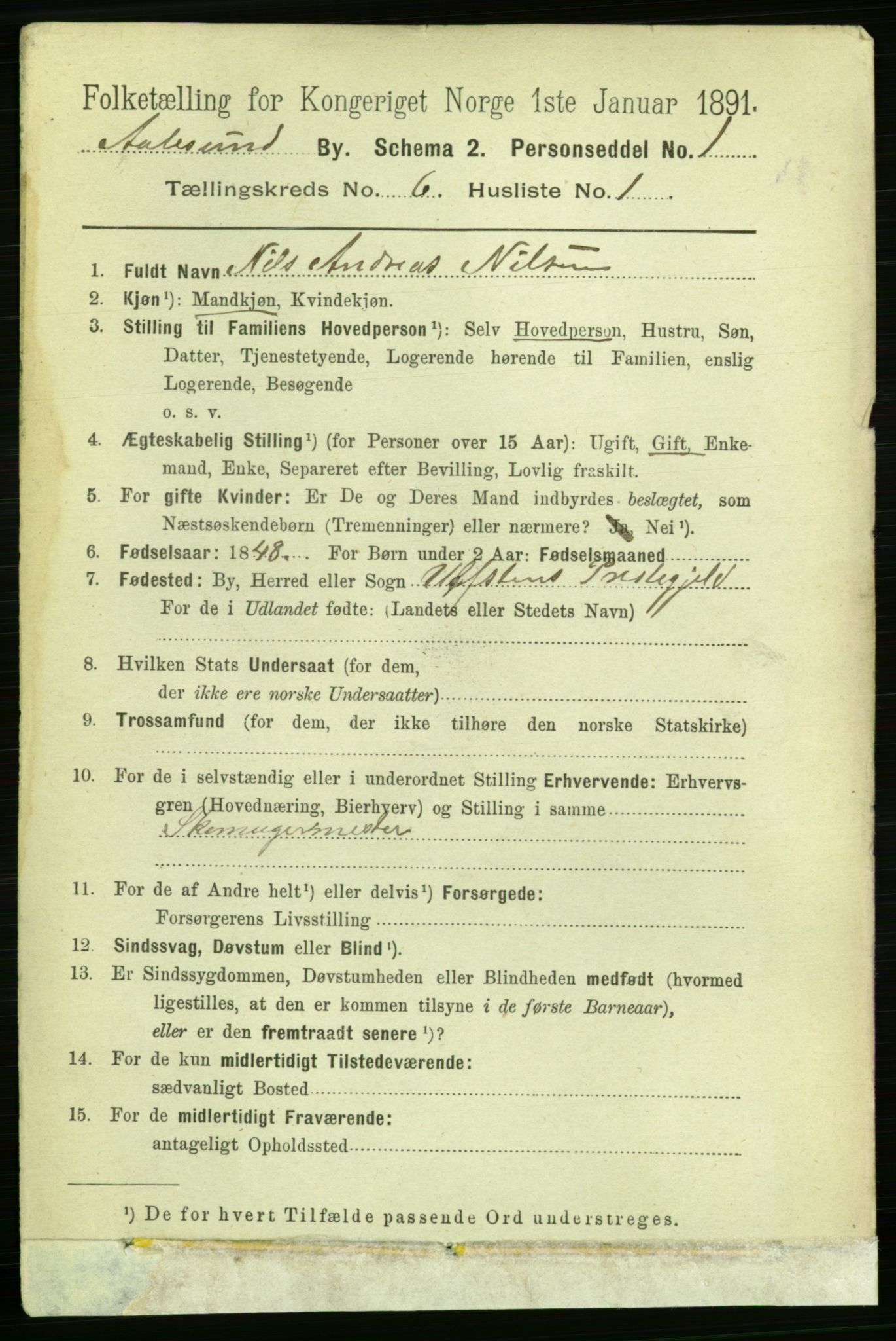 RA, 1891 census for 1501 Ålesund, 1891, p. 4349