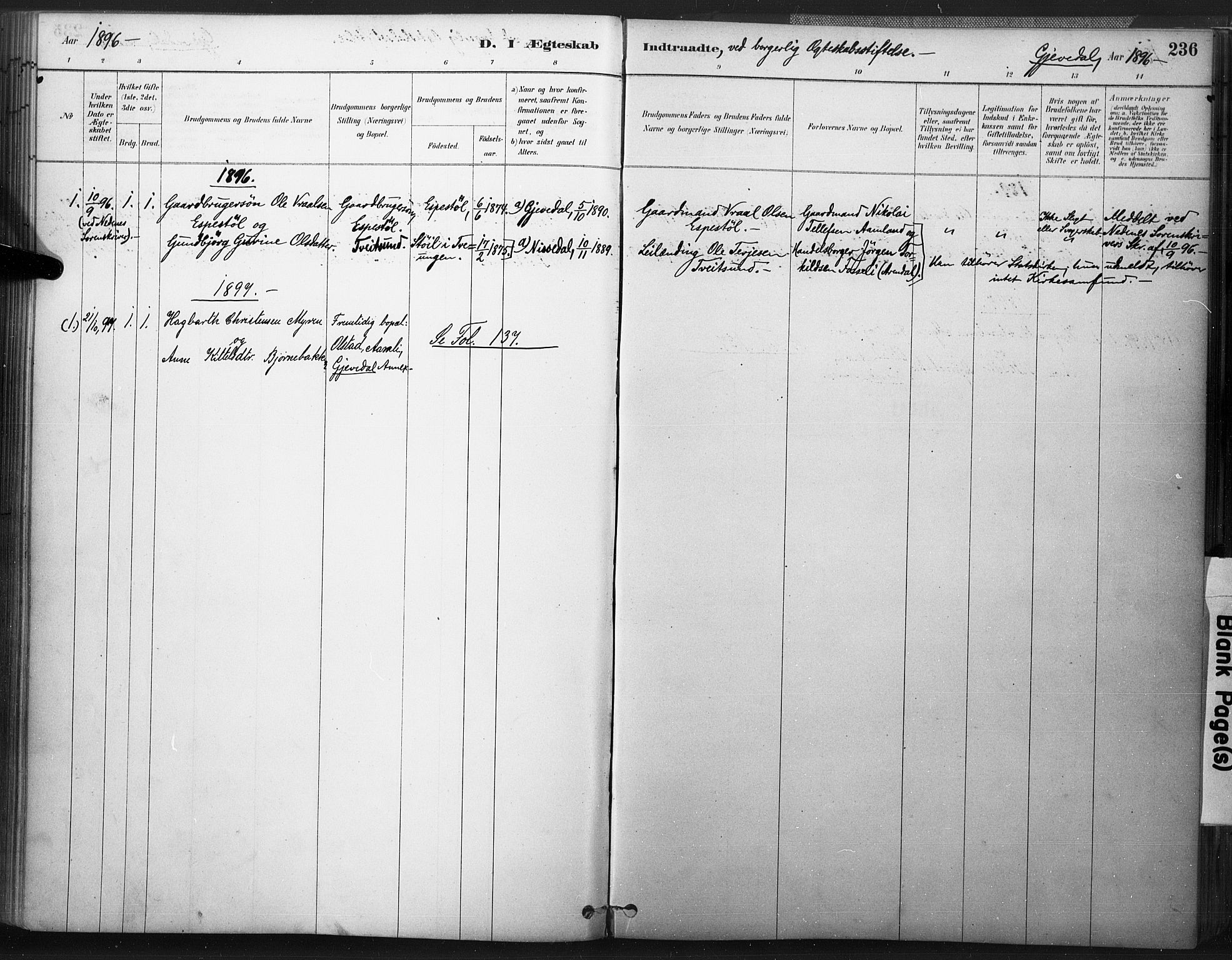 Åmli sokneprestkontor, SAK/1111-0050/F/Fa/Fac/L0010: Parish register (official) no. A 10 /2, 1885-1899, p. 236