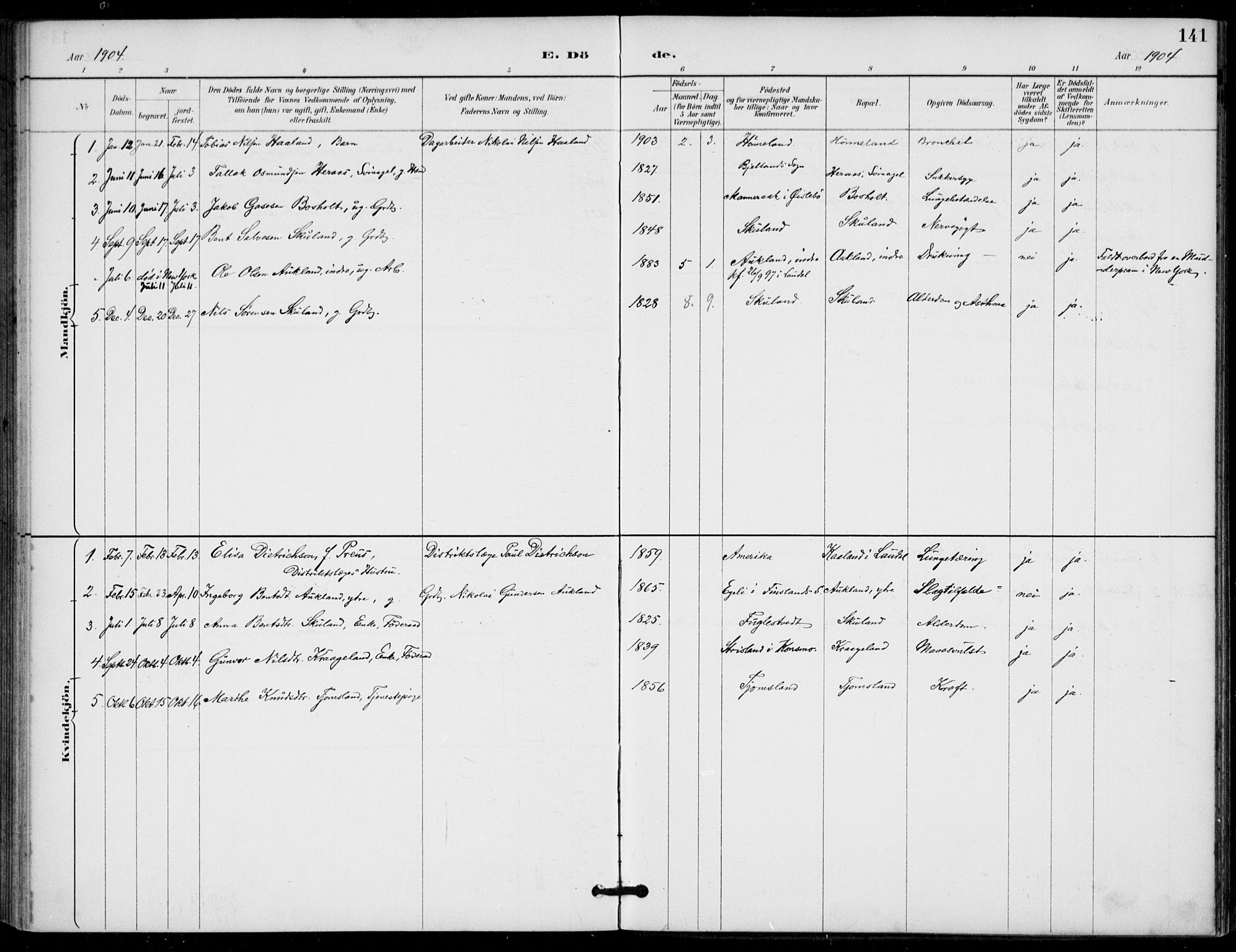 Holum sokneprestkontor, SAK/1111-0022/F/Fa/Fab/L0007: Parish register (official) no. A 7, 1887-1912, p. 141